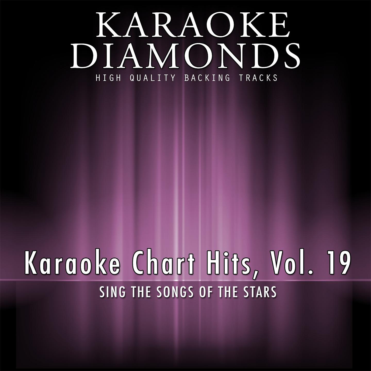 Постер альбома Karaoke Chart Hits, Vol. 19