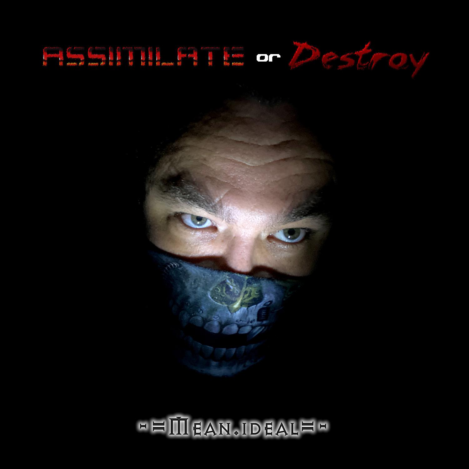 Постер альбома Assimilate or Destroy