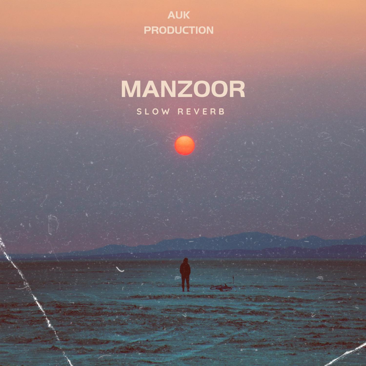 Постер альбома Manzoor