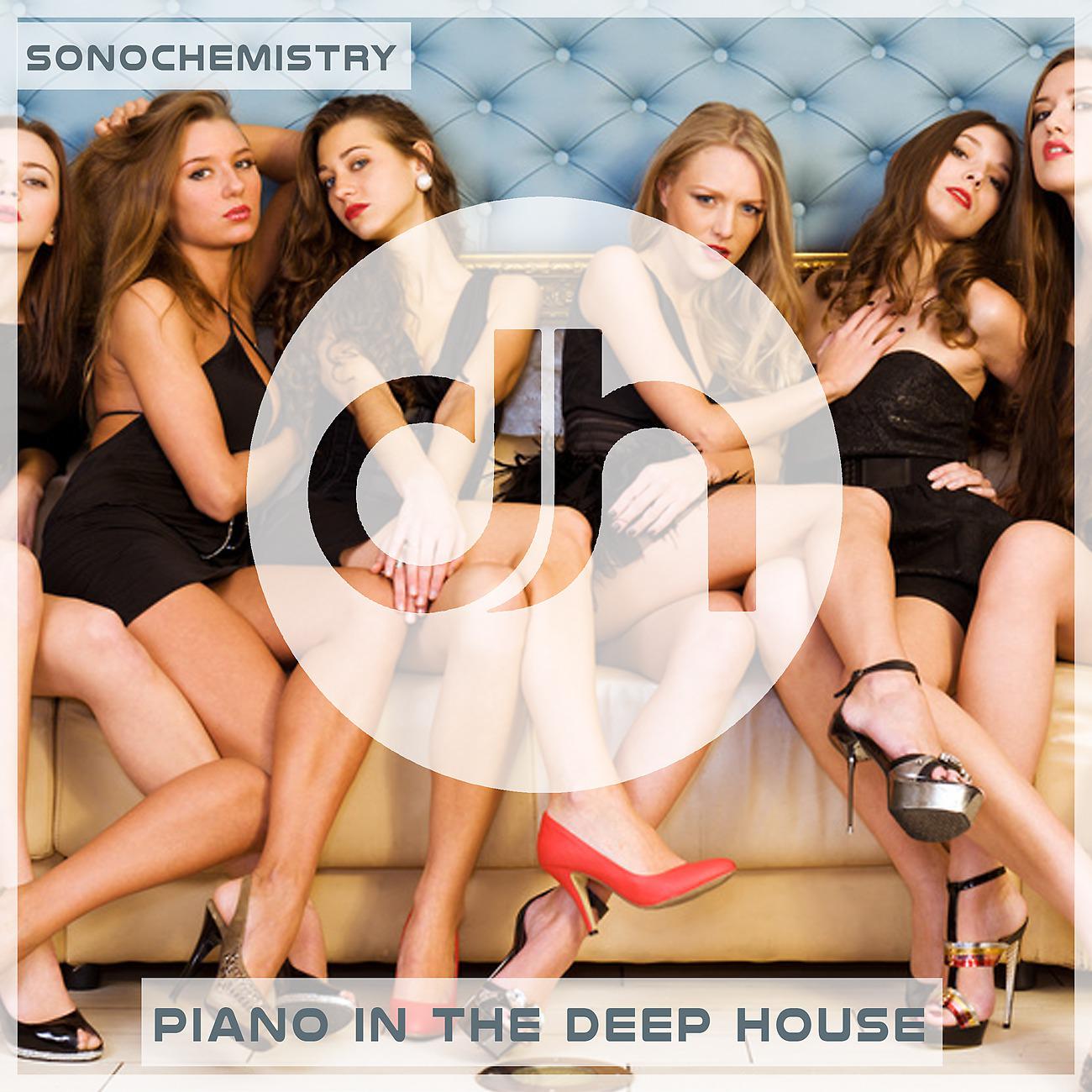 Постер альбома Piano in the Deep House