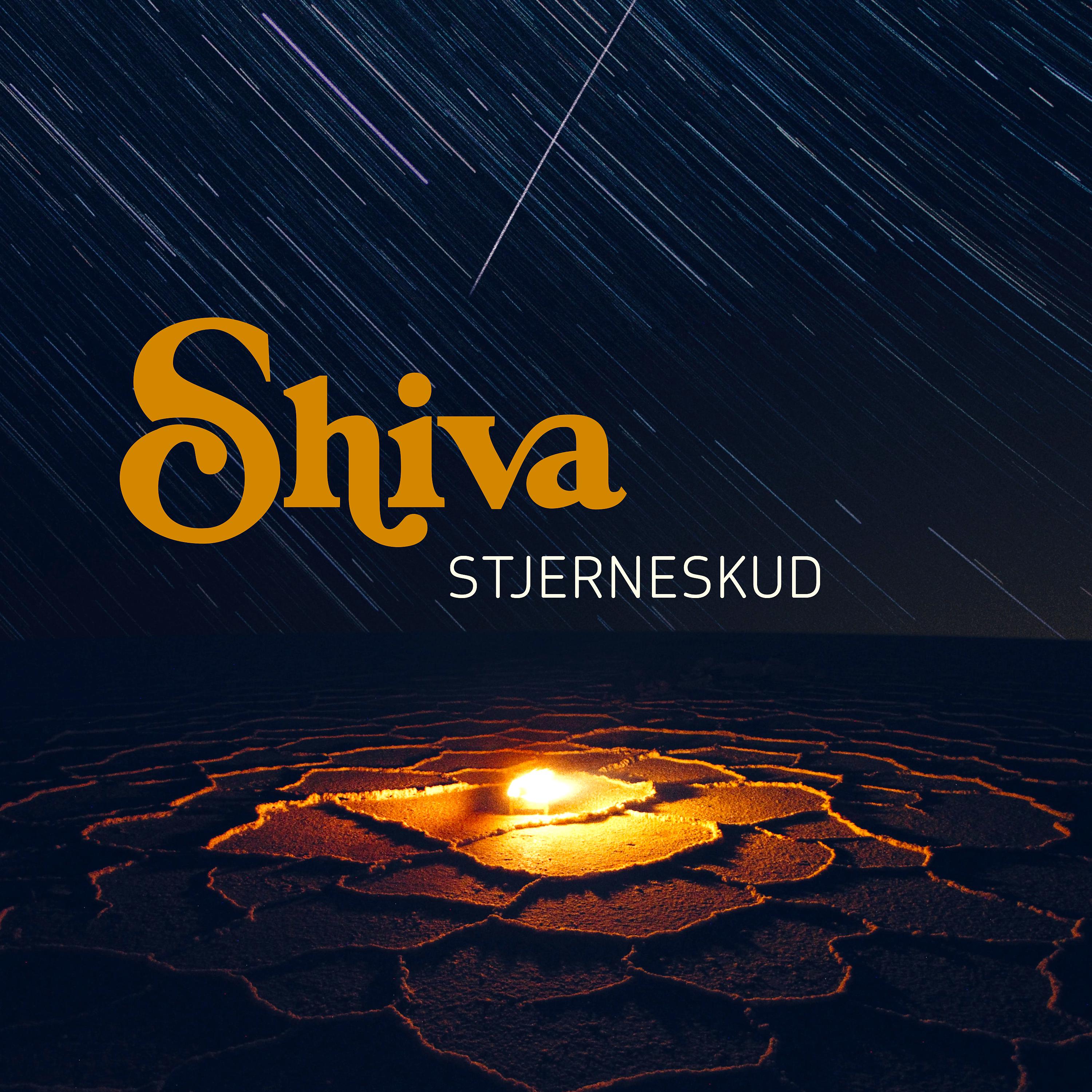 Постер альбома Stjerneskud