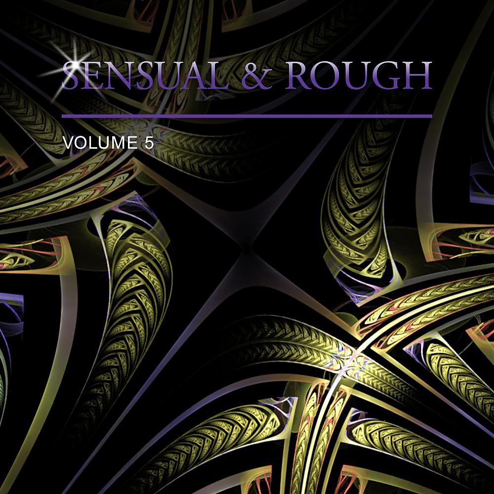Постер альбома Sensual & Rough, Vol. 5
