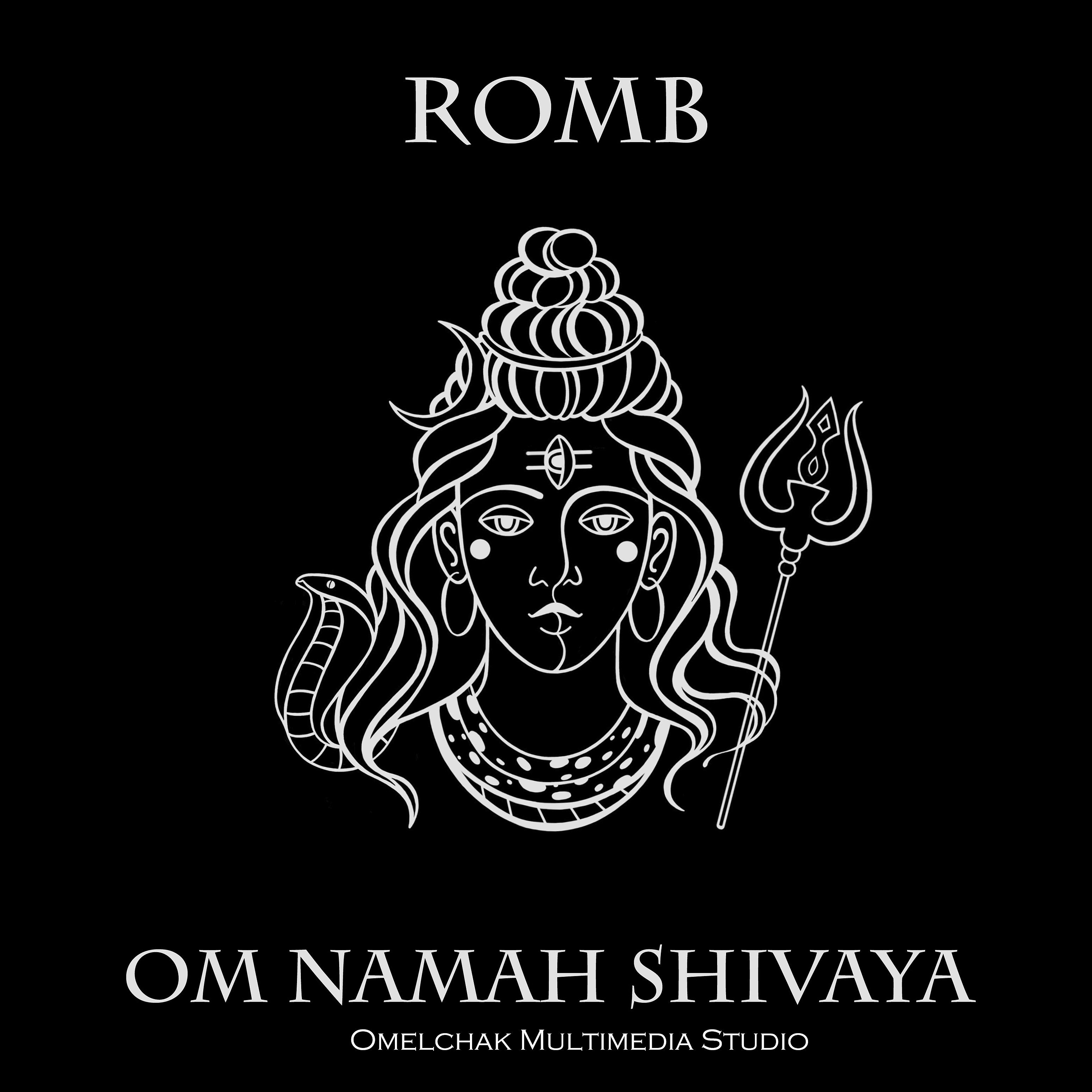 Постер альбома Om Namah Shivaya (Omelchak Multimedia Studio Version)