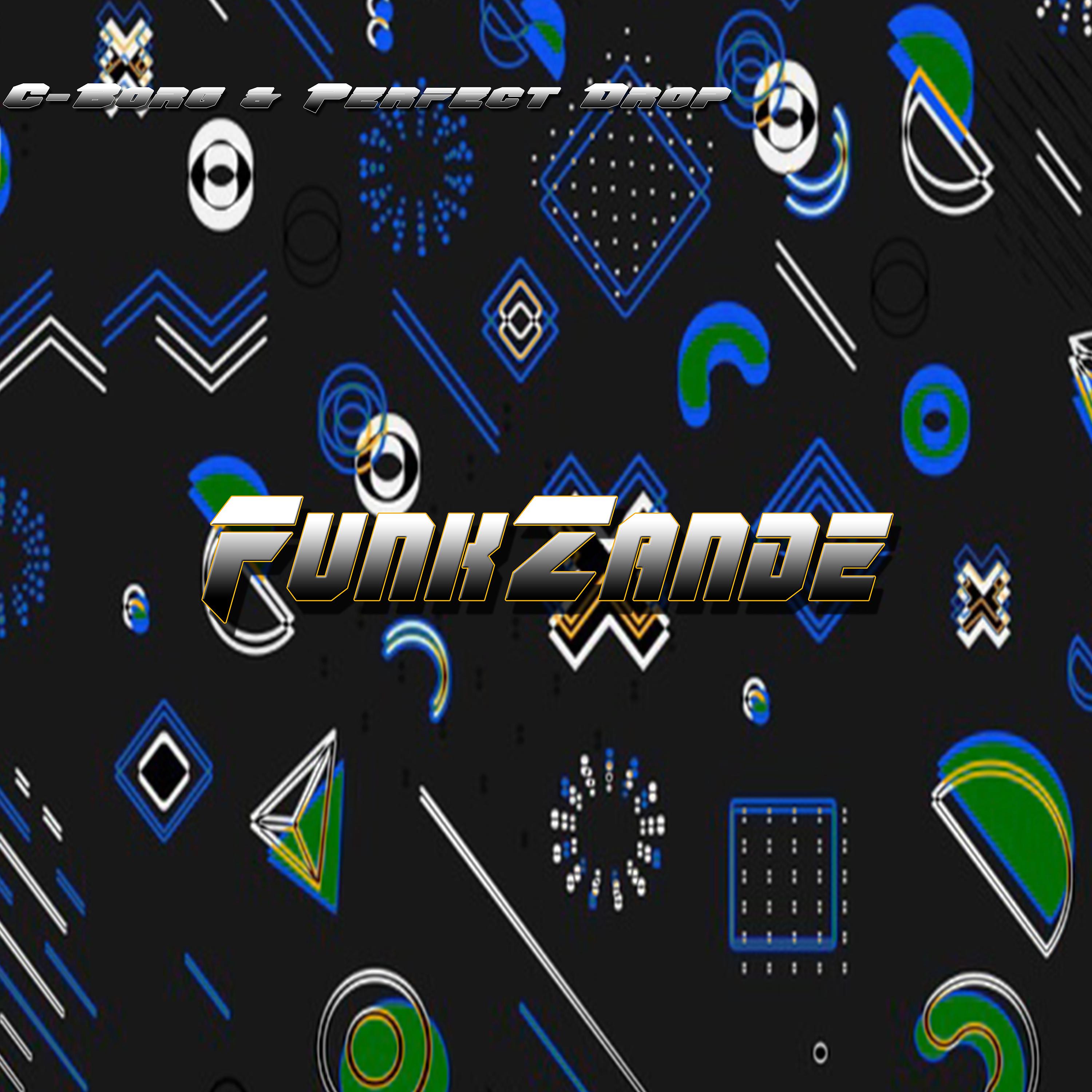 Постер альбома Funkzande