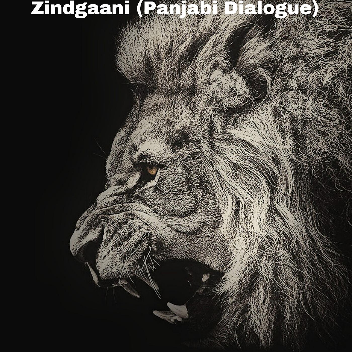 Постер альбома Zindgaani (Panjabi Dialogue)