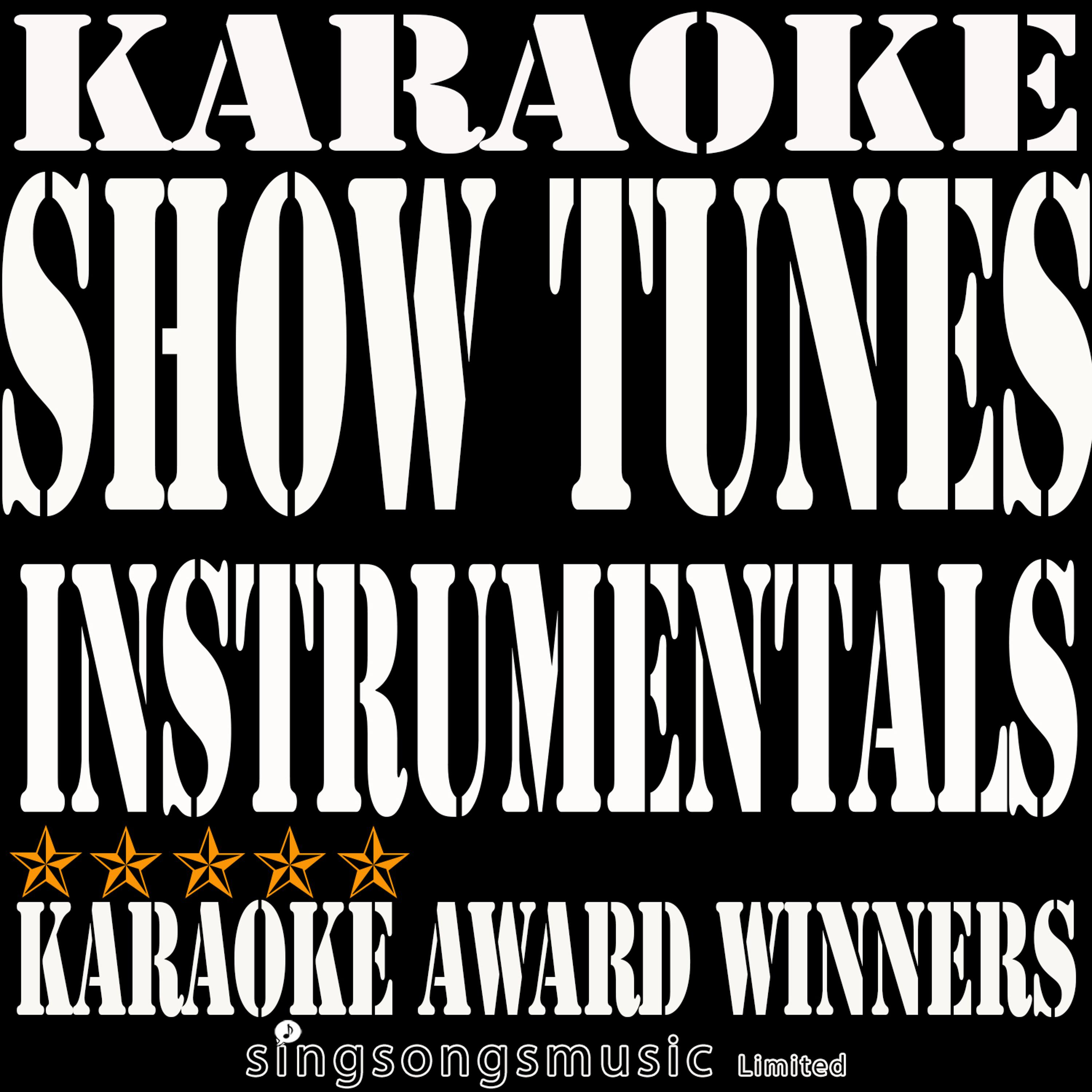 Постер альбома Show Tunes Instrumentals Karaoke, Vol. 1
