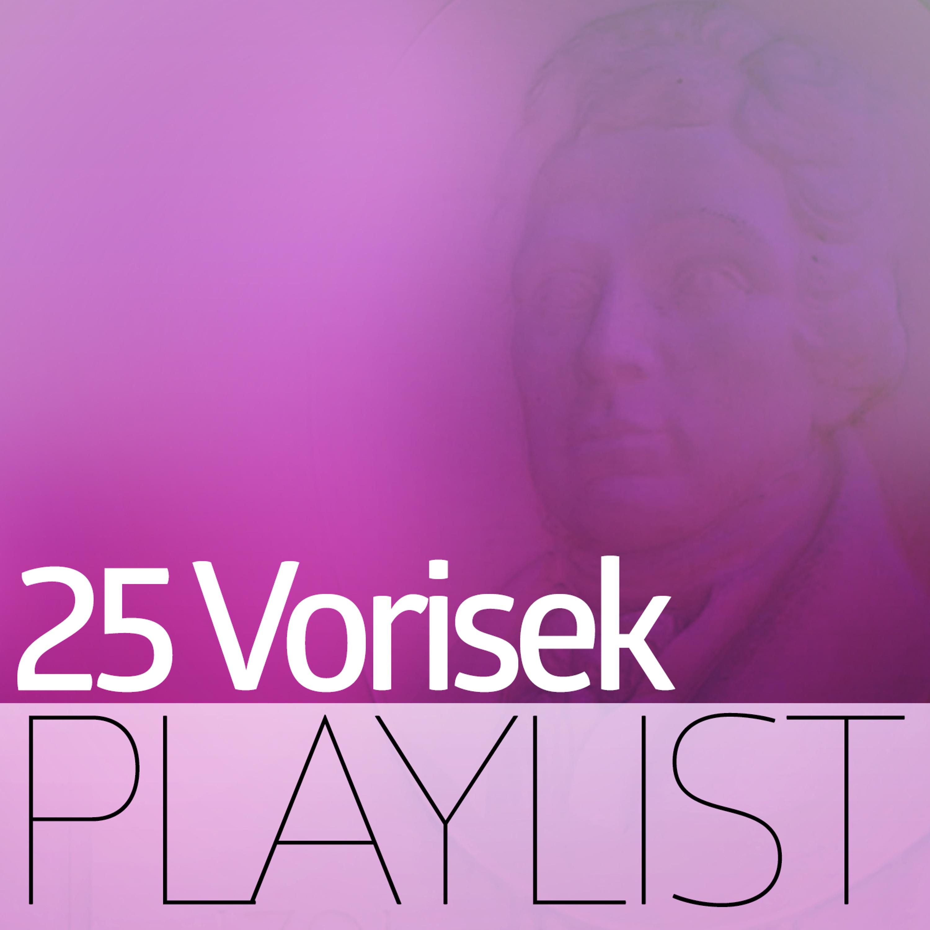 Постер альбома 25 Vorisek Playlist