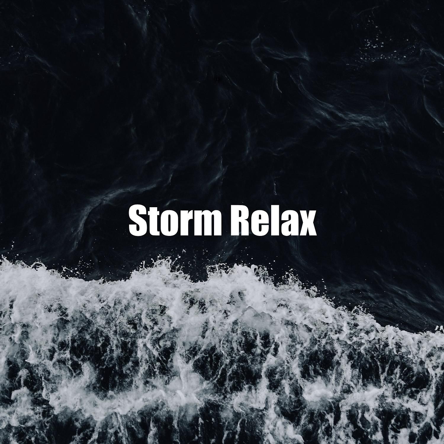Постер альбома Storm Relax