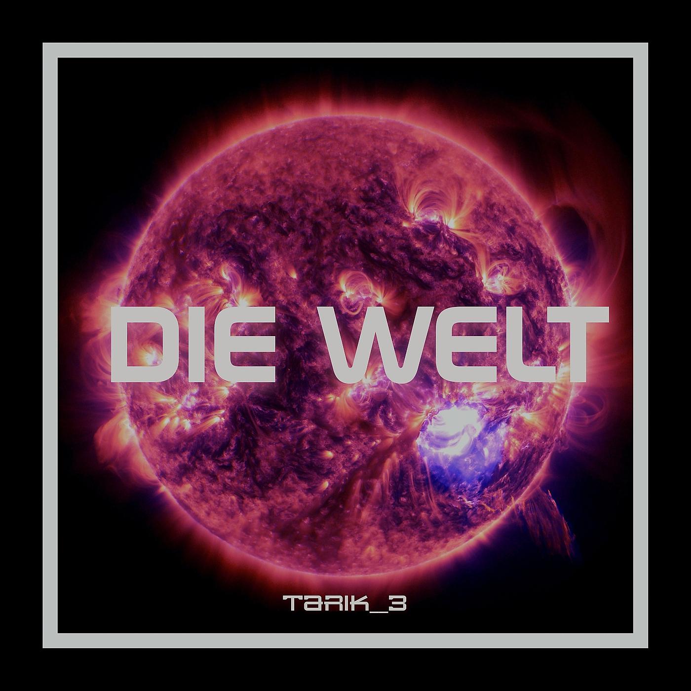 Постер альбома Die Welt