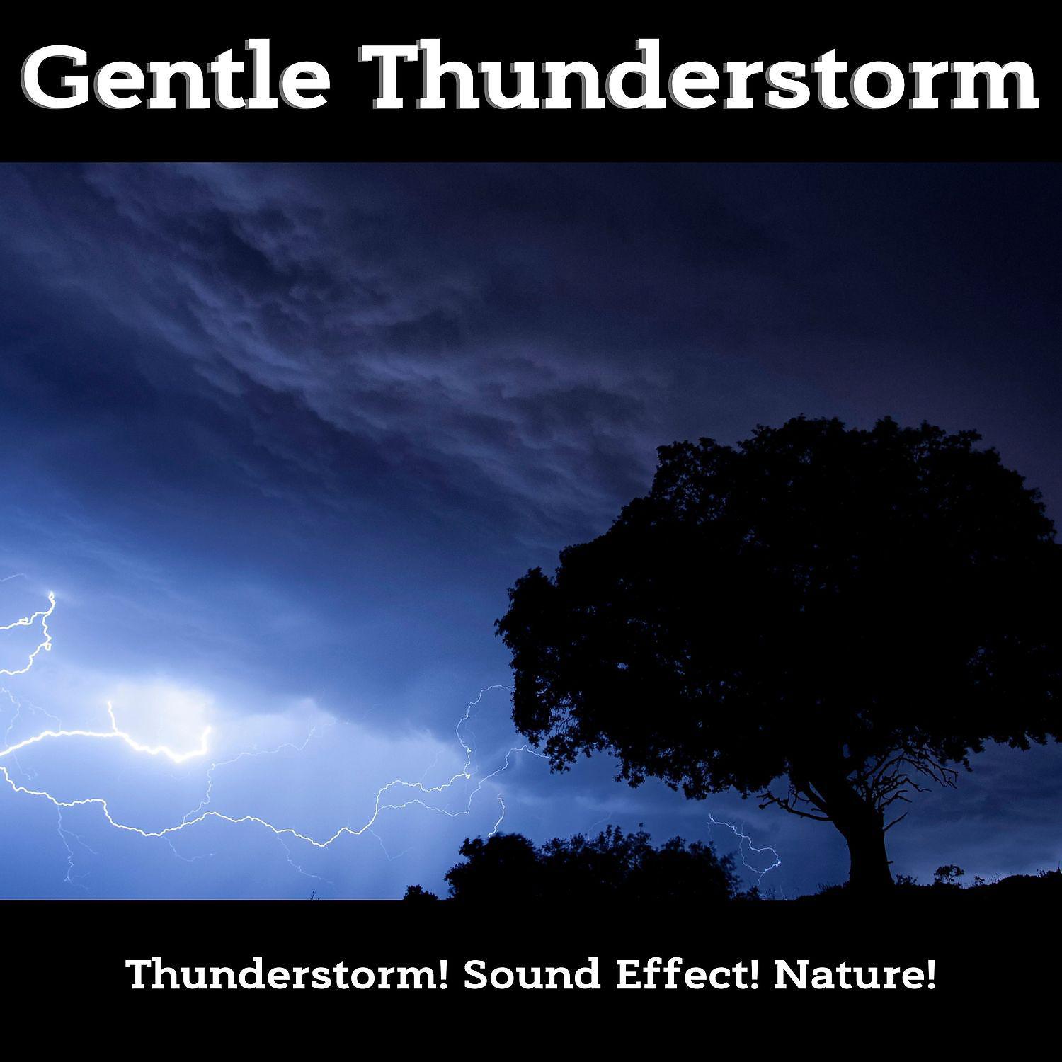 Постер альбома Gentle Thunderstorm