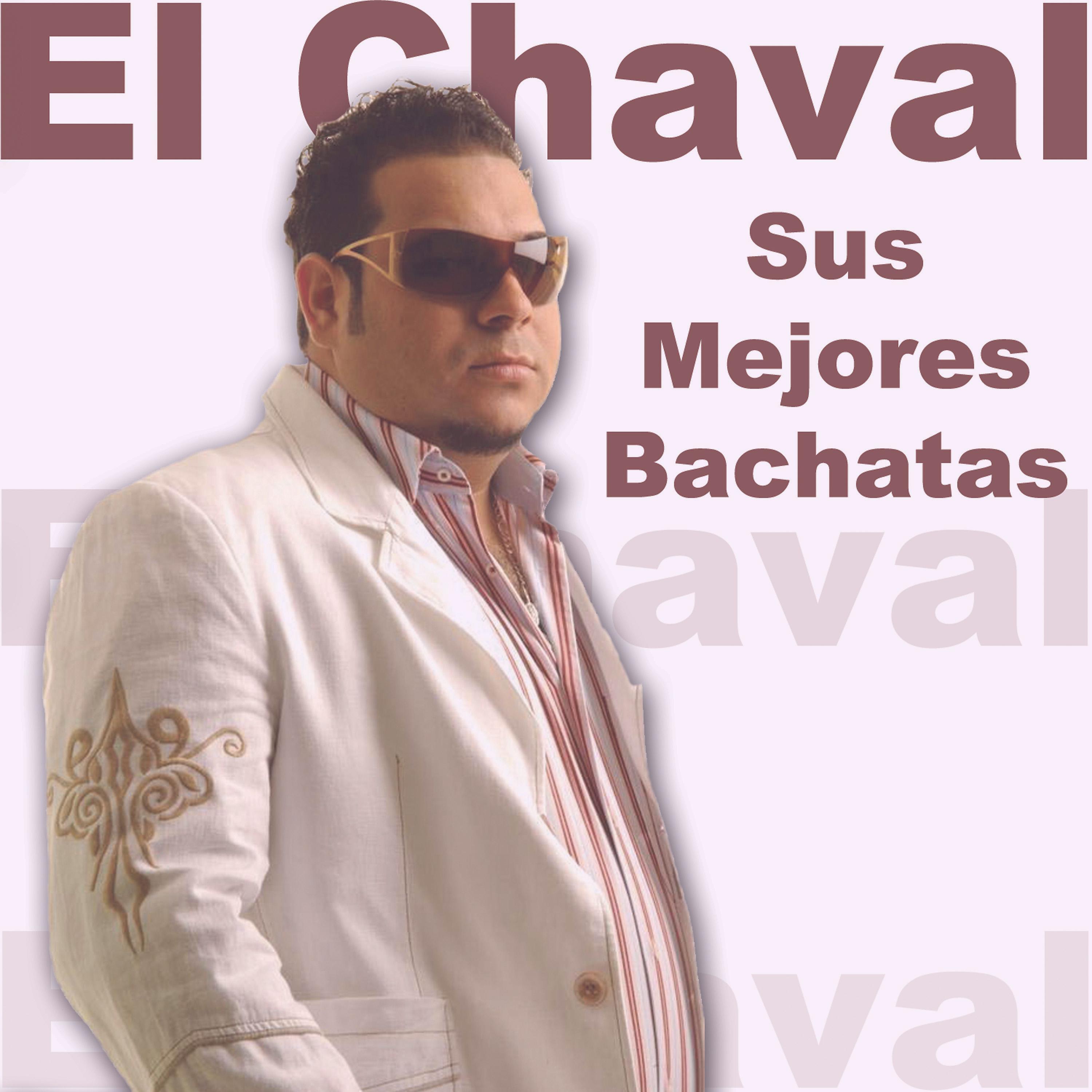 Постер альбома Sus Mejores Bachatas