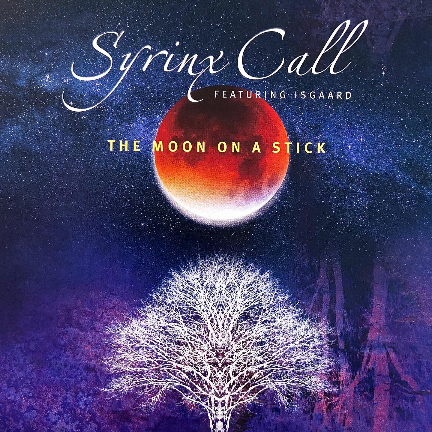 Постер альбома The Moon On A Stick