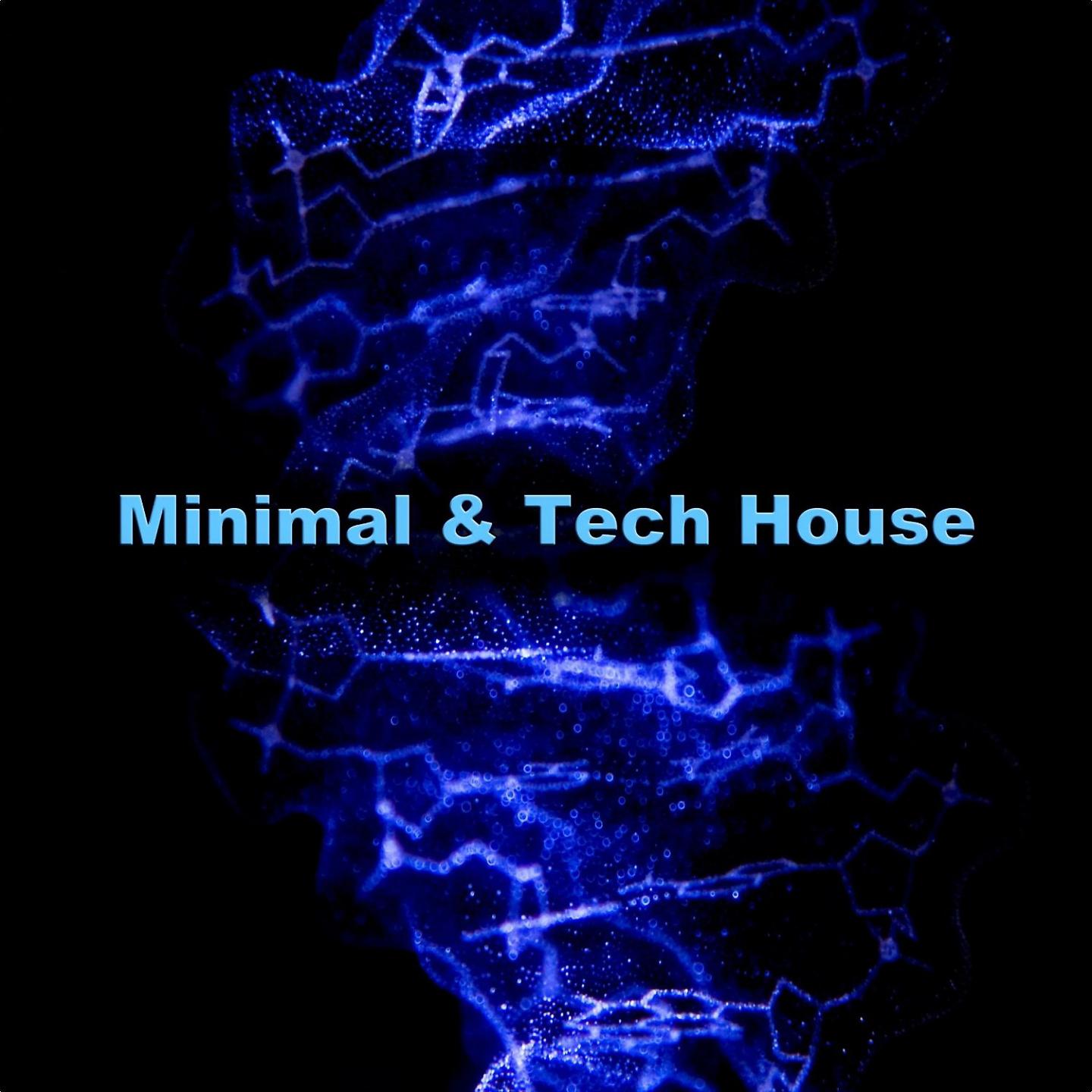 Постер альбома Minimal & Tech House - Dj Tracks