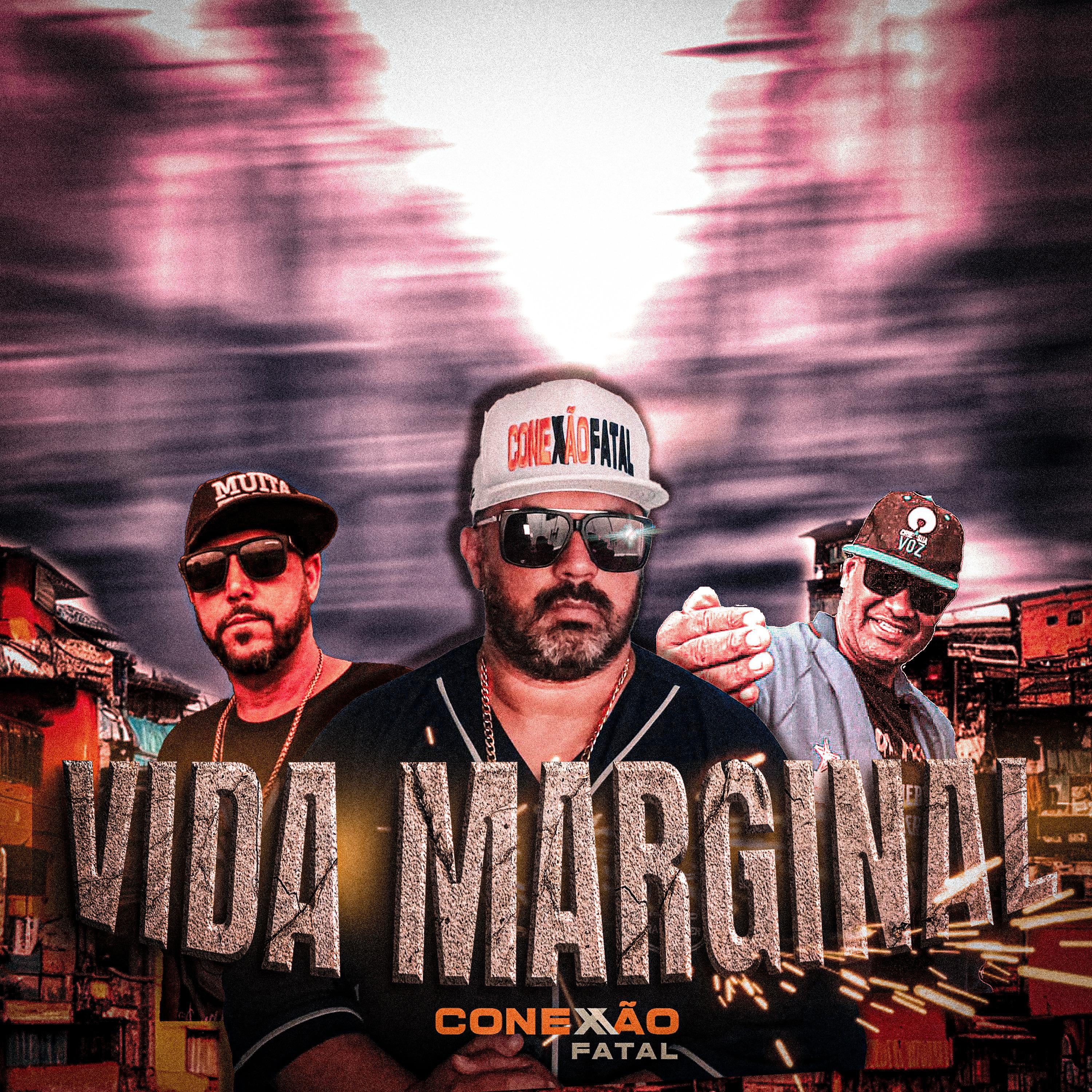 Постер альбома Vida Marginal