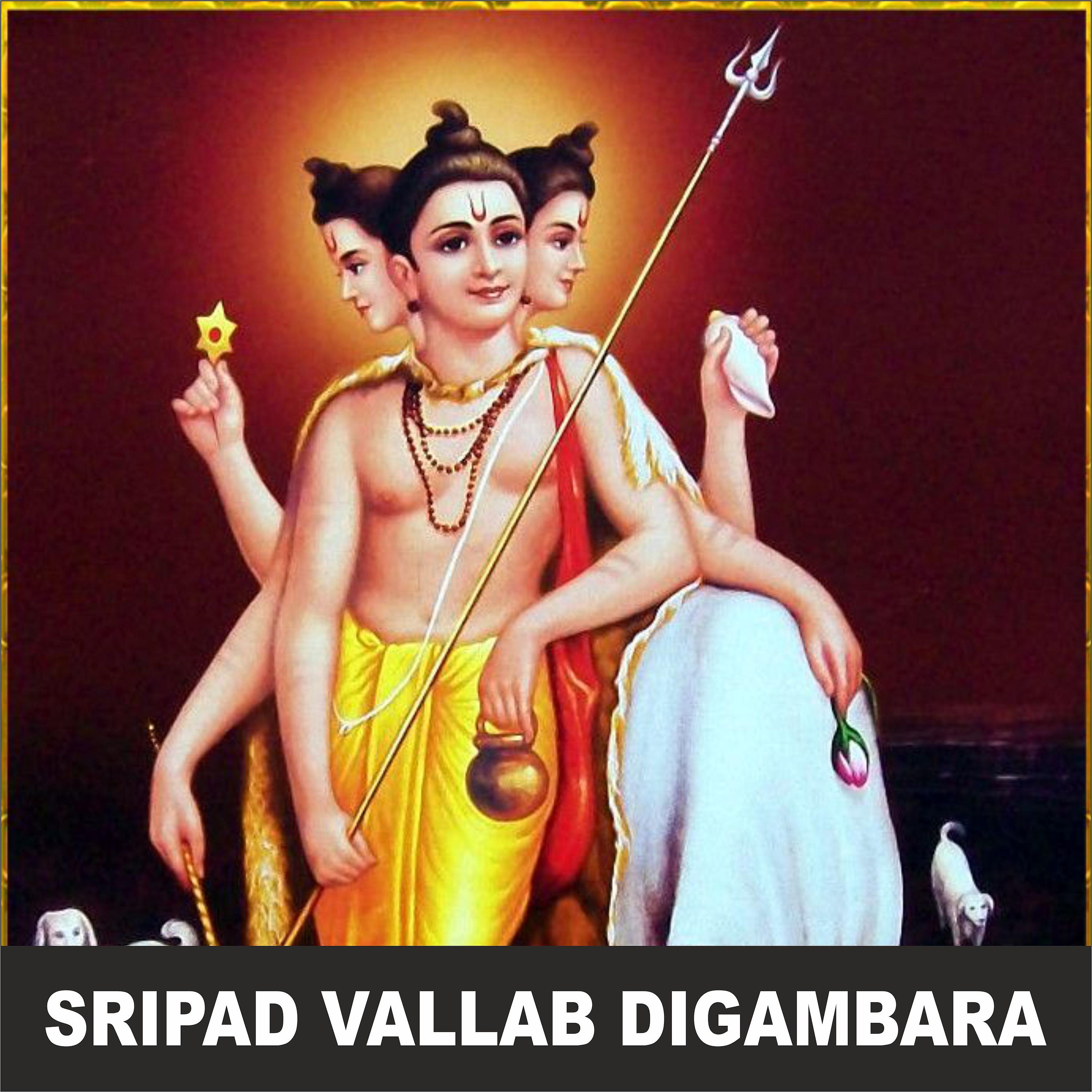 Постер альбома Sripad Vallab Digambara