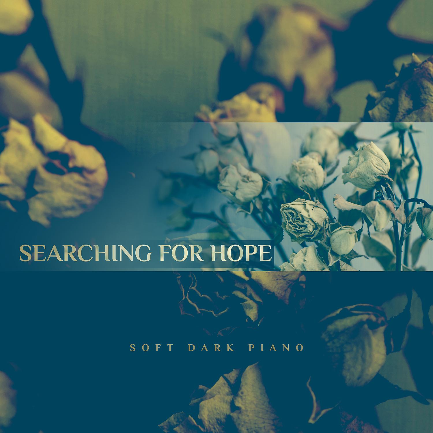 Постер альбома Searching for Hope: Soft Dark Piano