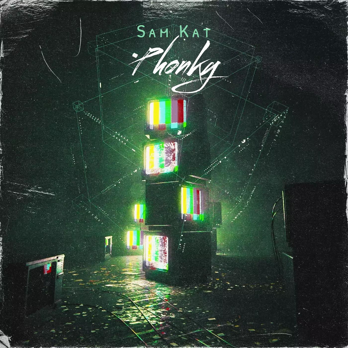 Постер альбома Phonky