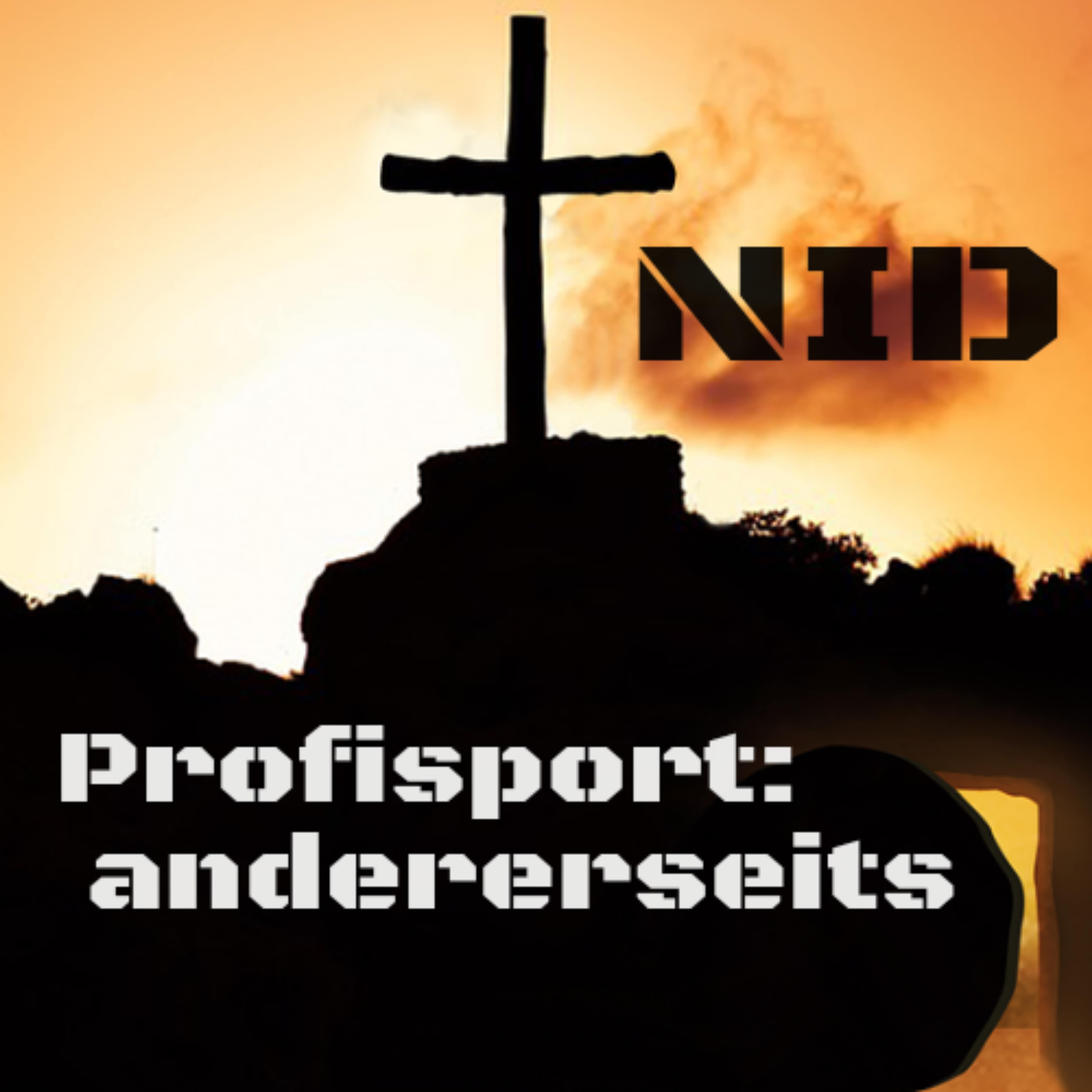 Постер альбома Profisport: Andererseits
