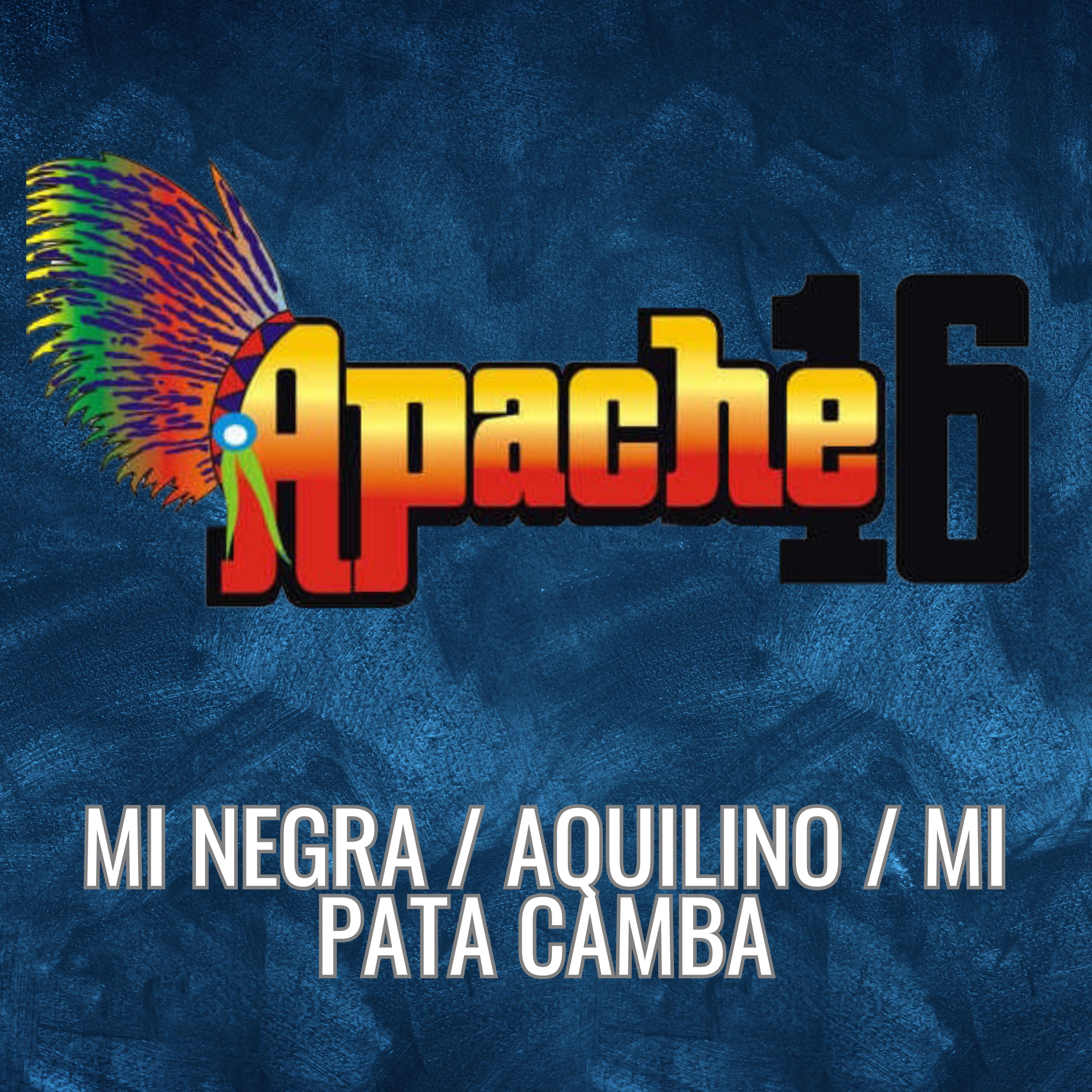 Постер альбома Mi Negra / Aquilino / Mi Pata Camba