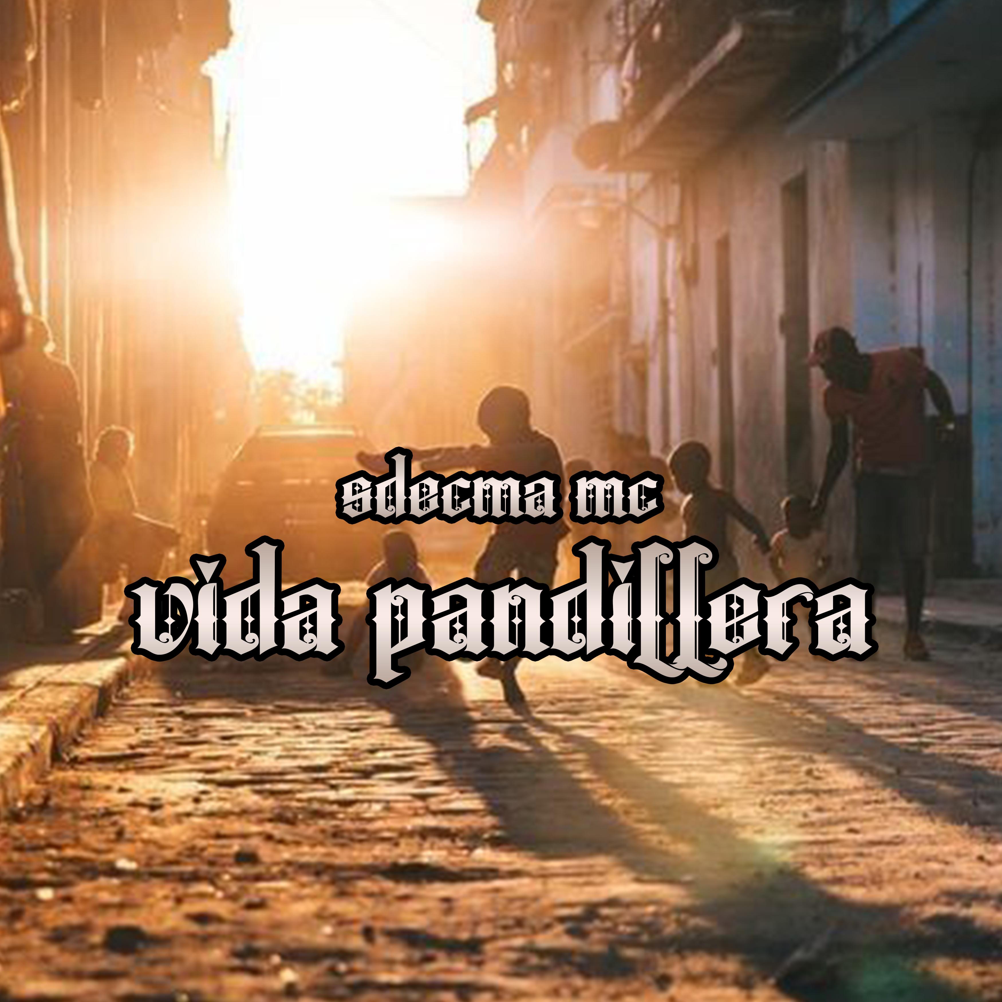 Постер альбома Vida Pandillera