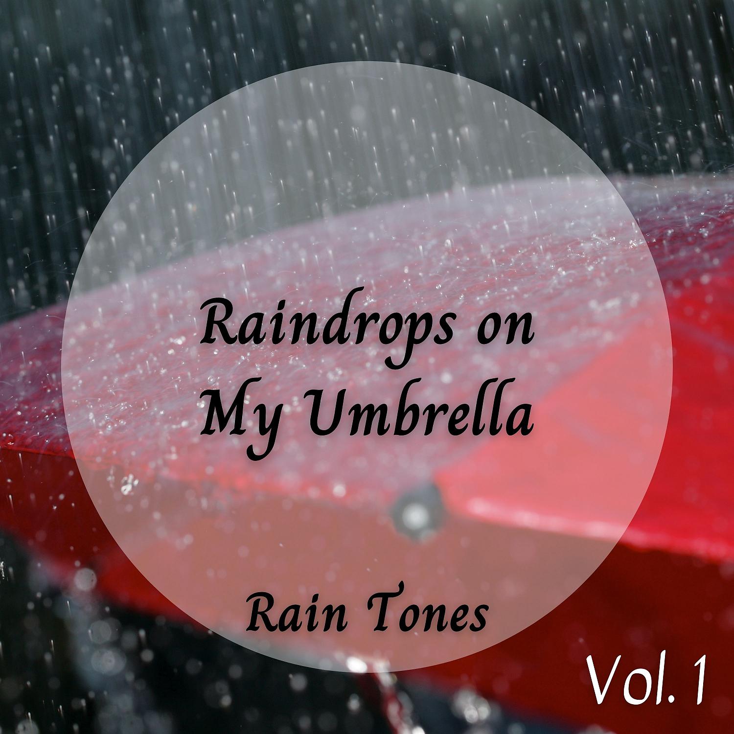 Постер альбома Rain Tones: Raindrops on My Umbrella Vol. 1
