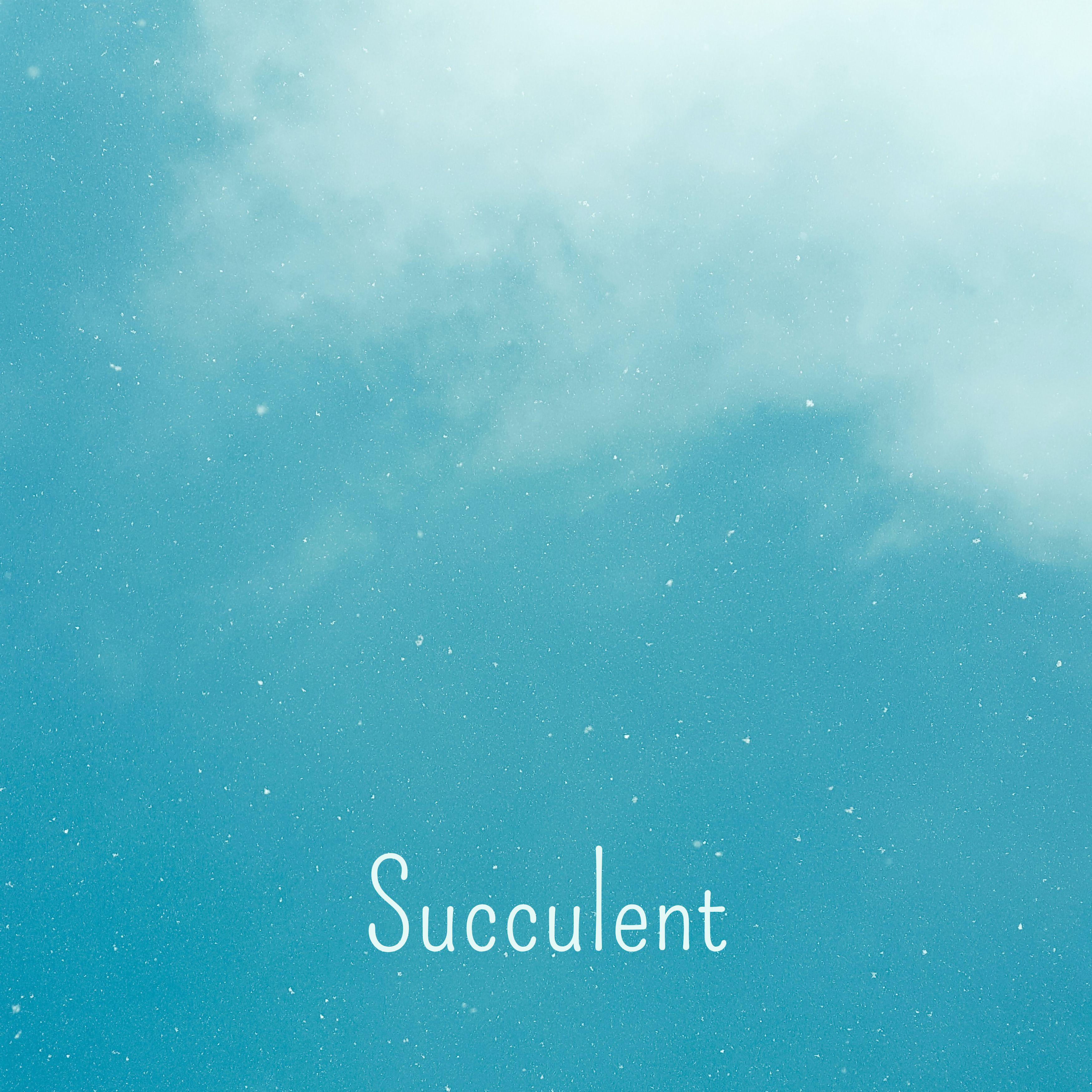 Постер альбома Succulent