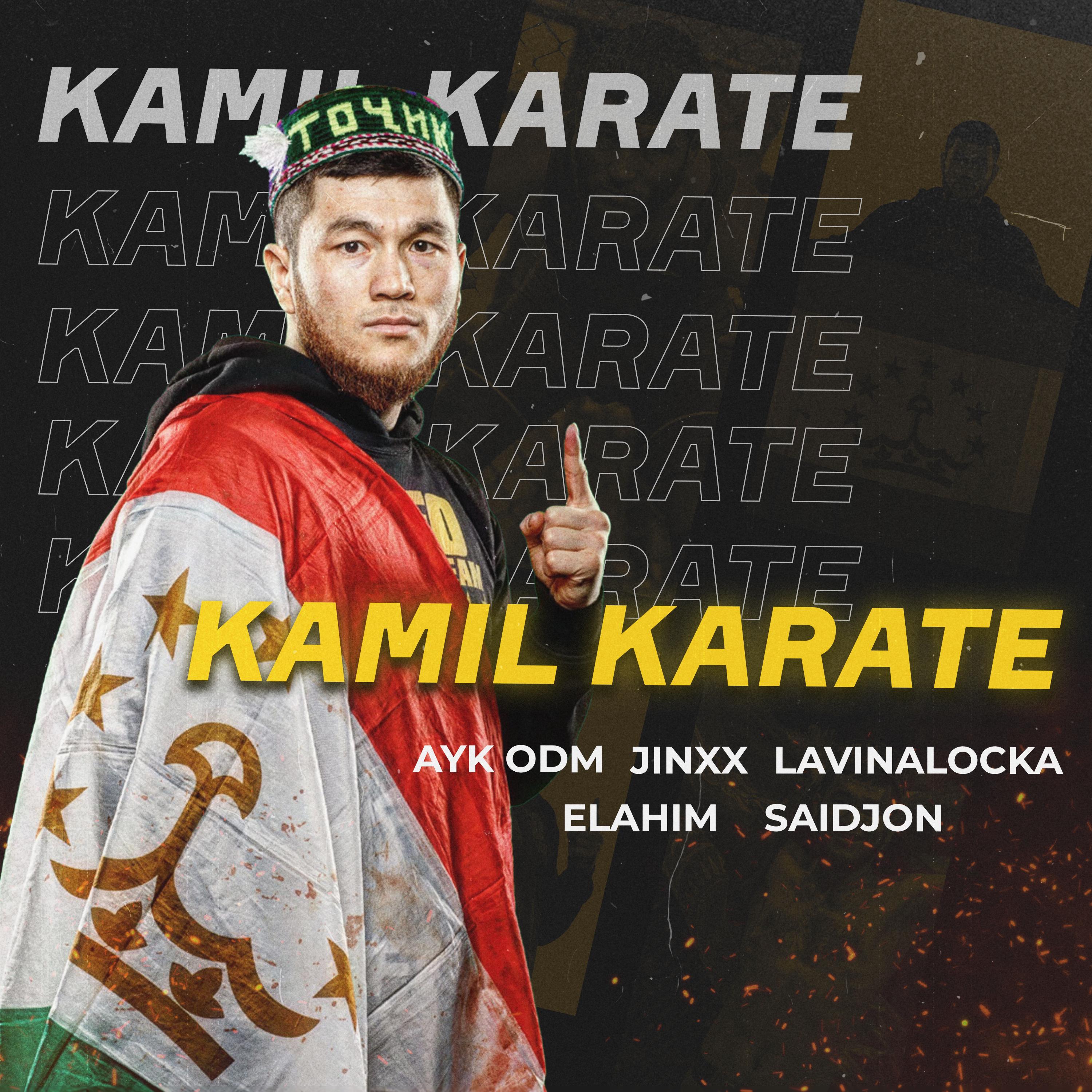 Постер альбома Kamil Karate