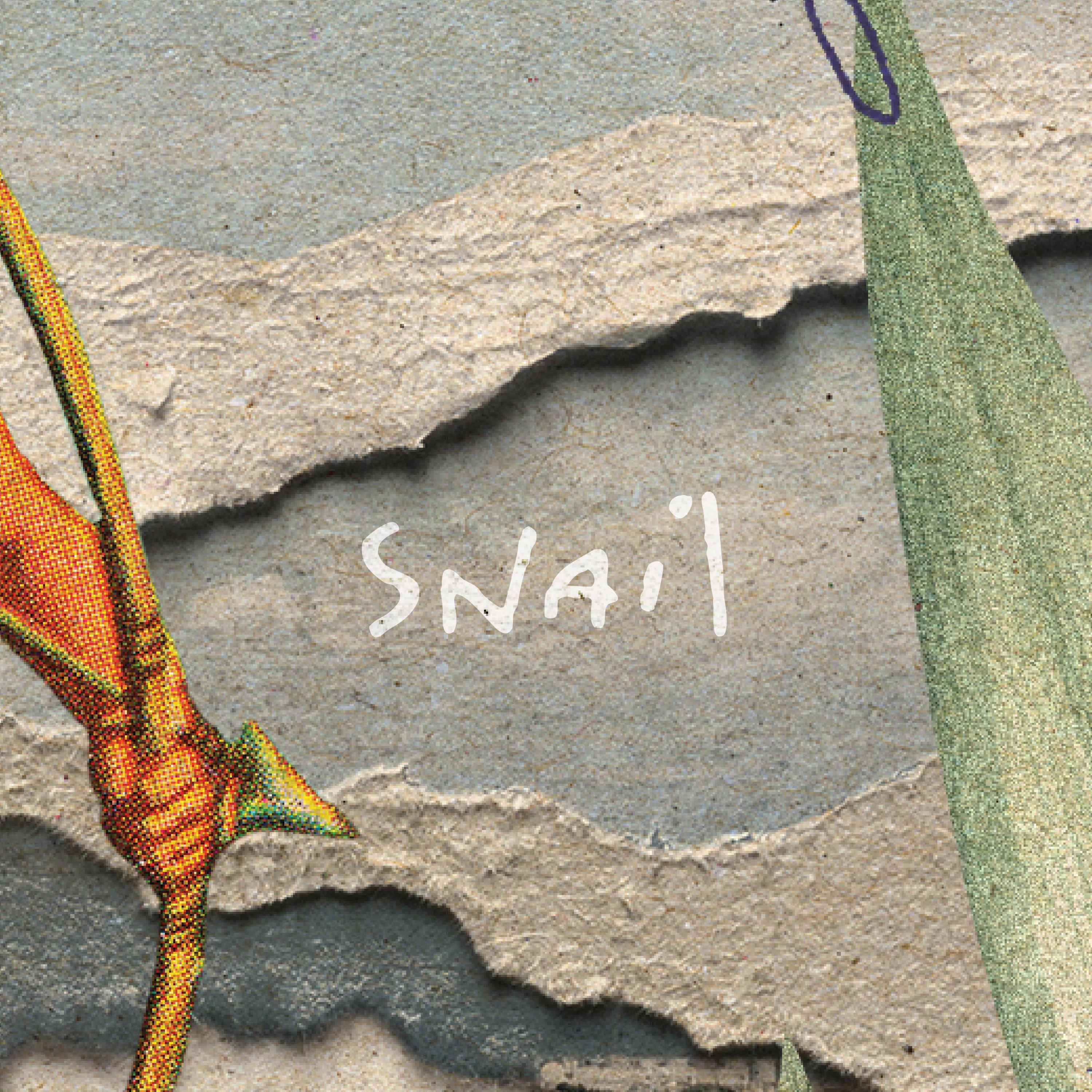 Постер альбома Snail