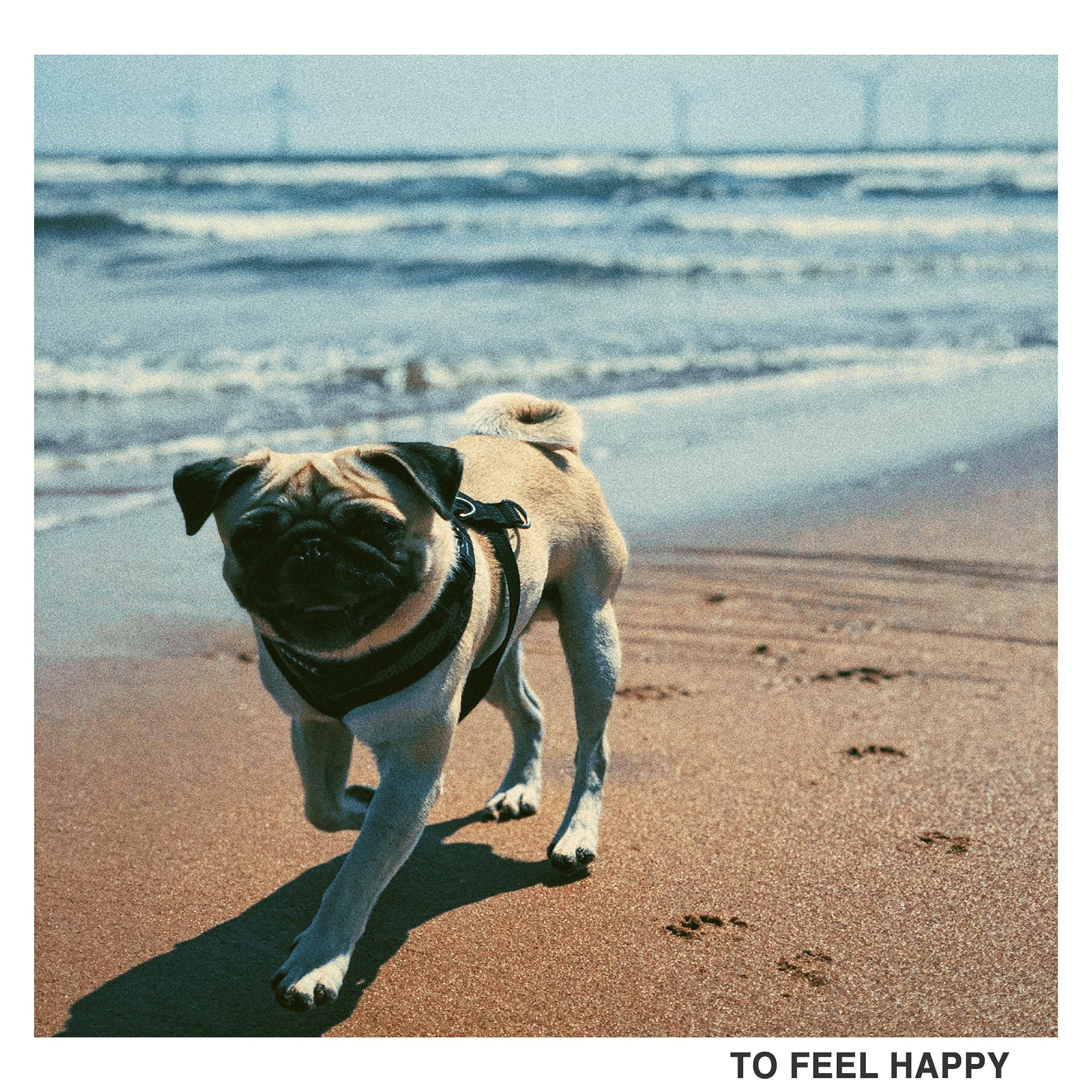 Постер альбома To Feel Happy