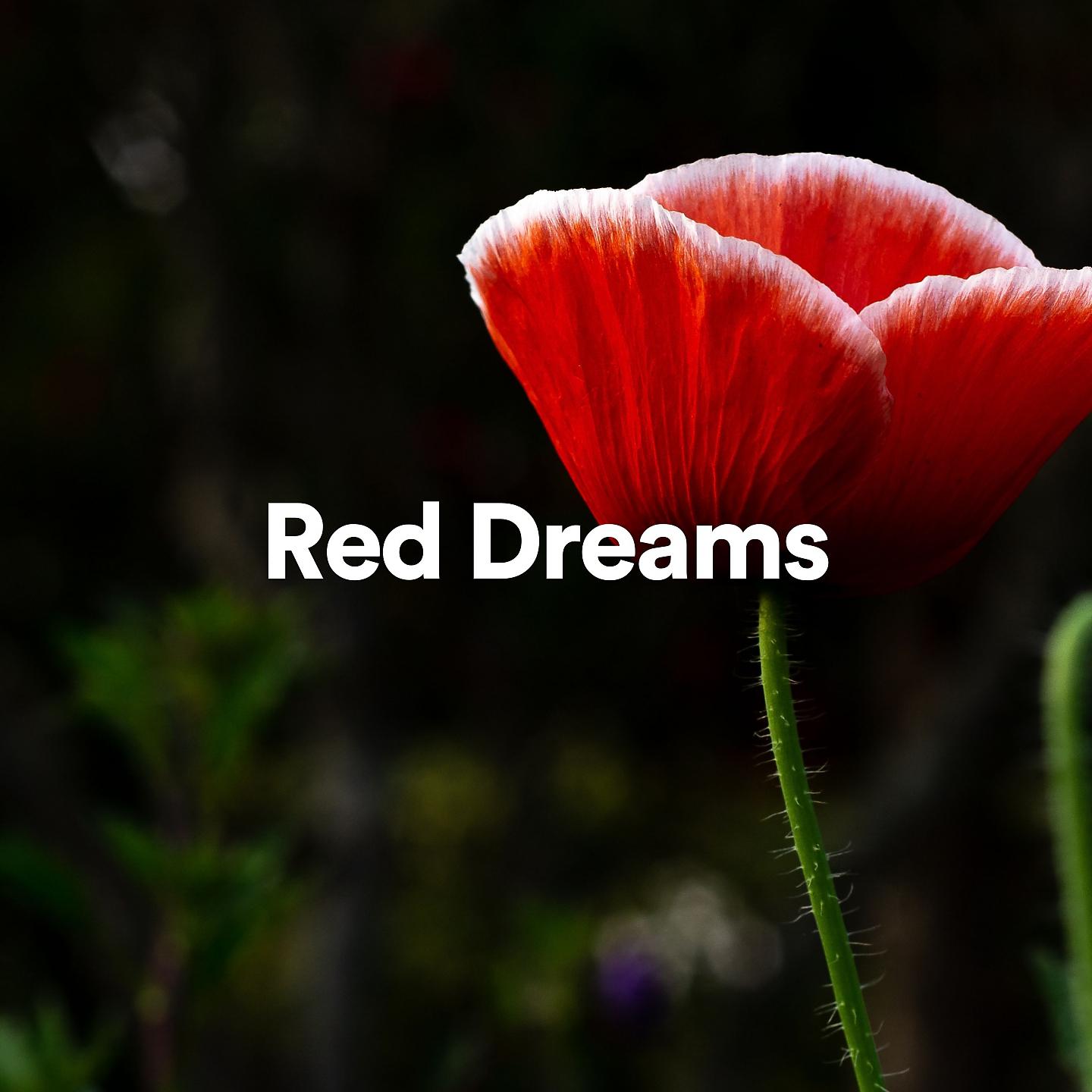Постер альбома Red Dreams