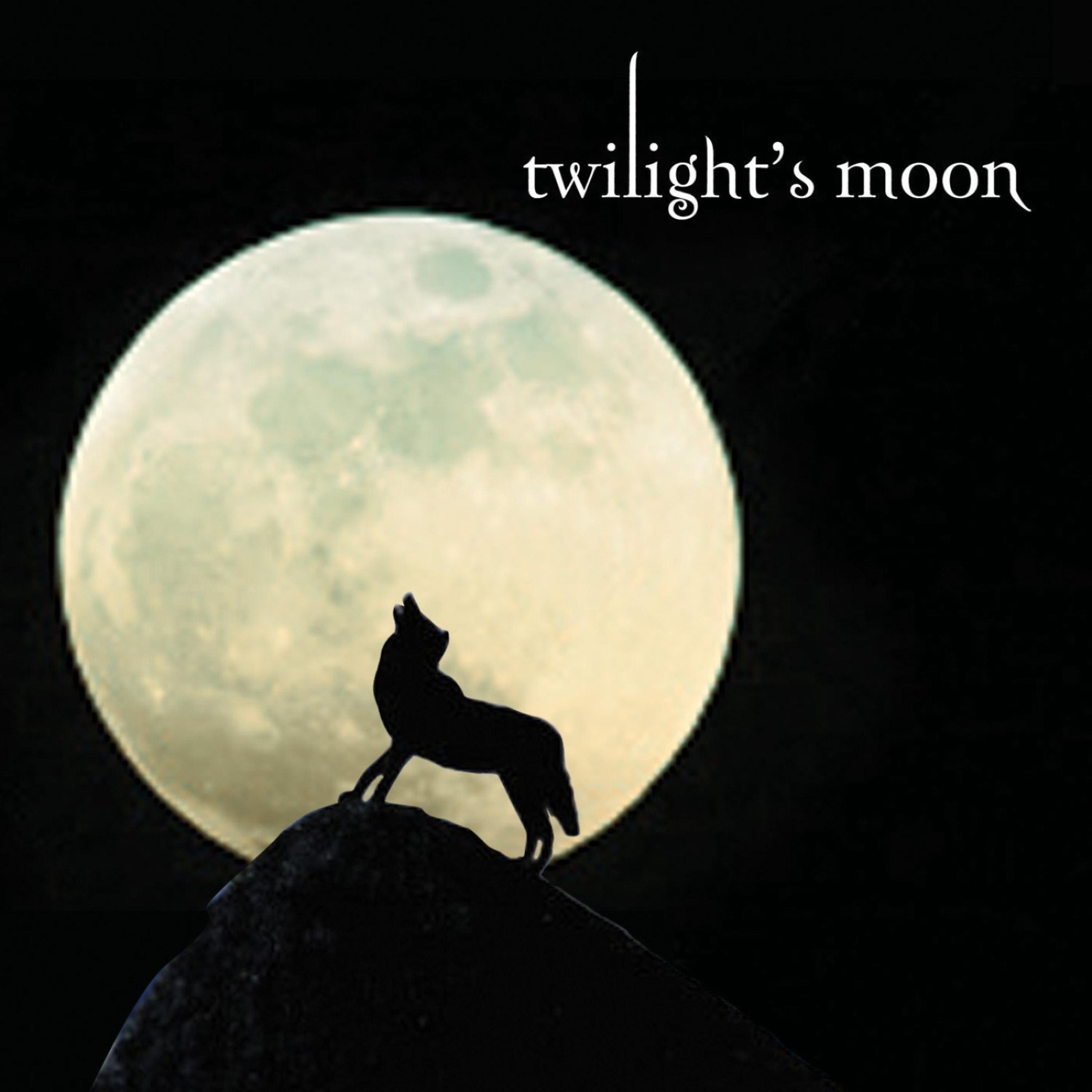 Постер альбома Twilight's Moon