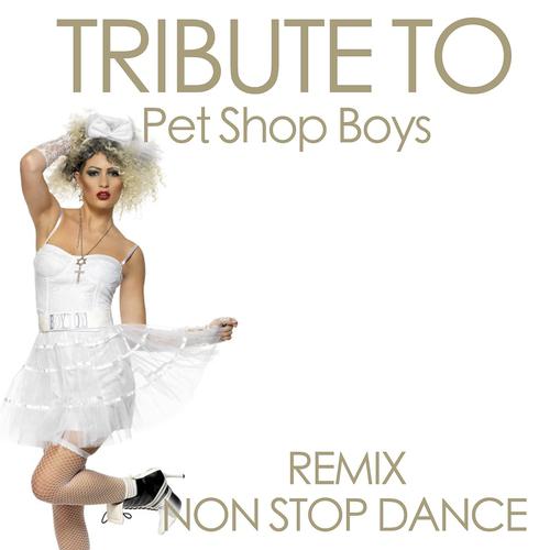Постер альбома Tribute to Pet Shop Boys (Remix Non Stop Dance)