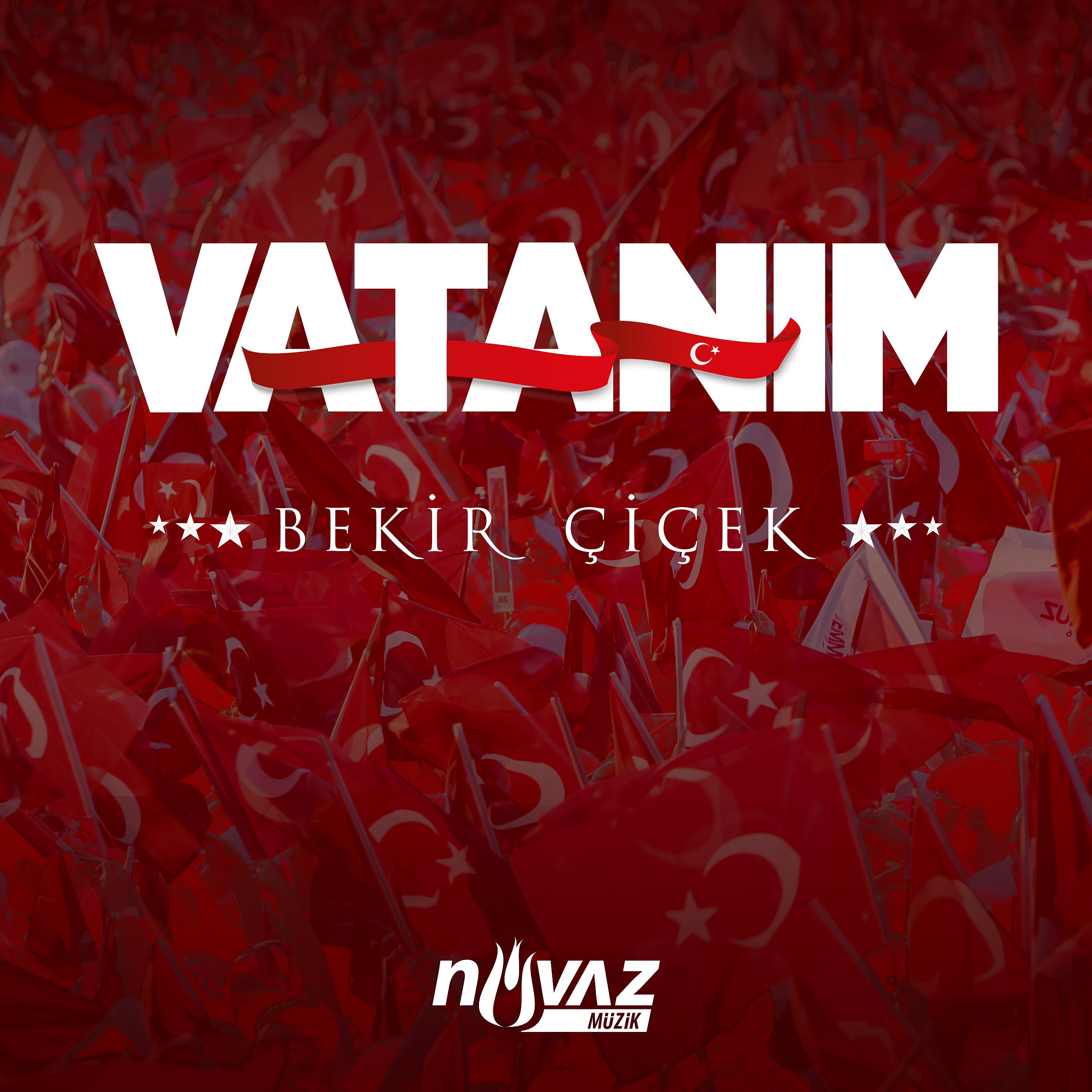Постер альбома Vatanım