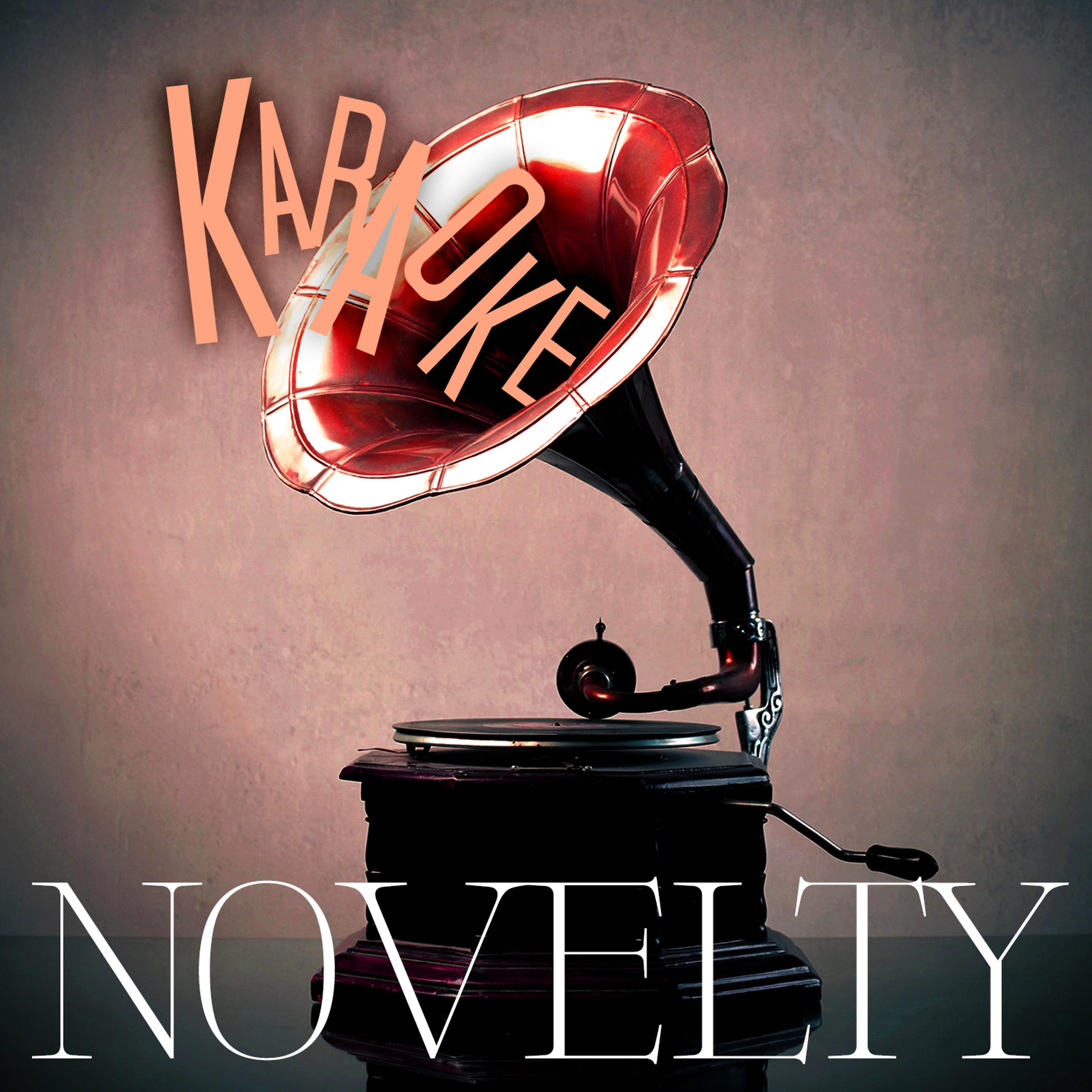 Постер альбома Karaoke - Novelty