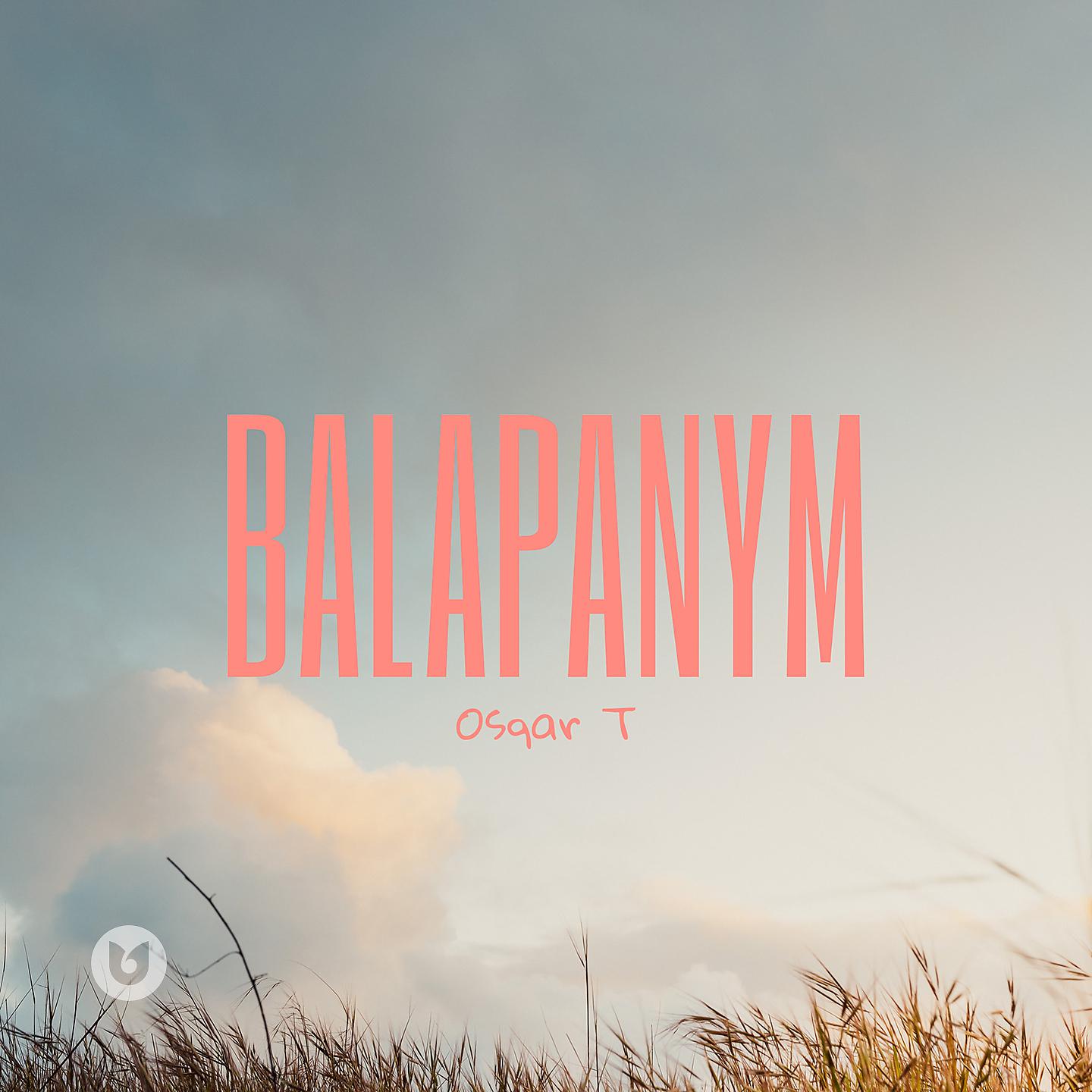 Постер альбома Balapanym