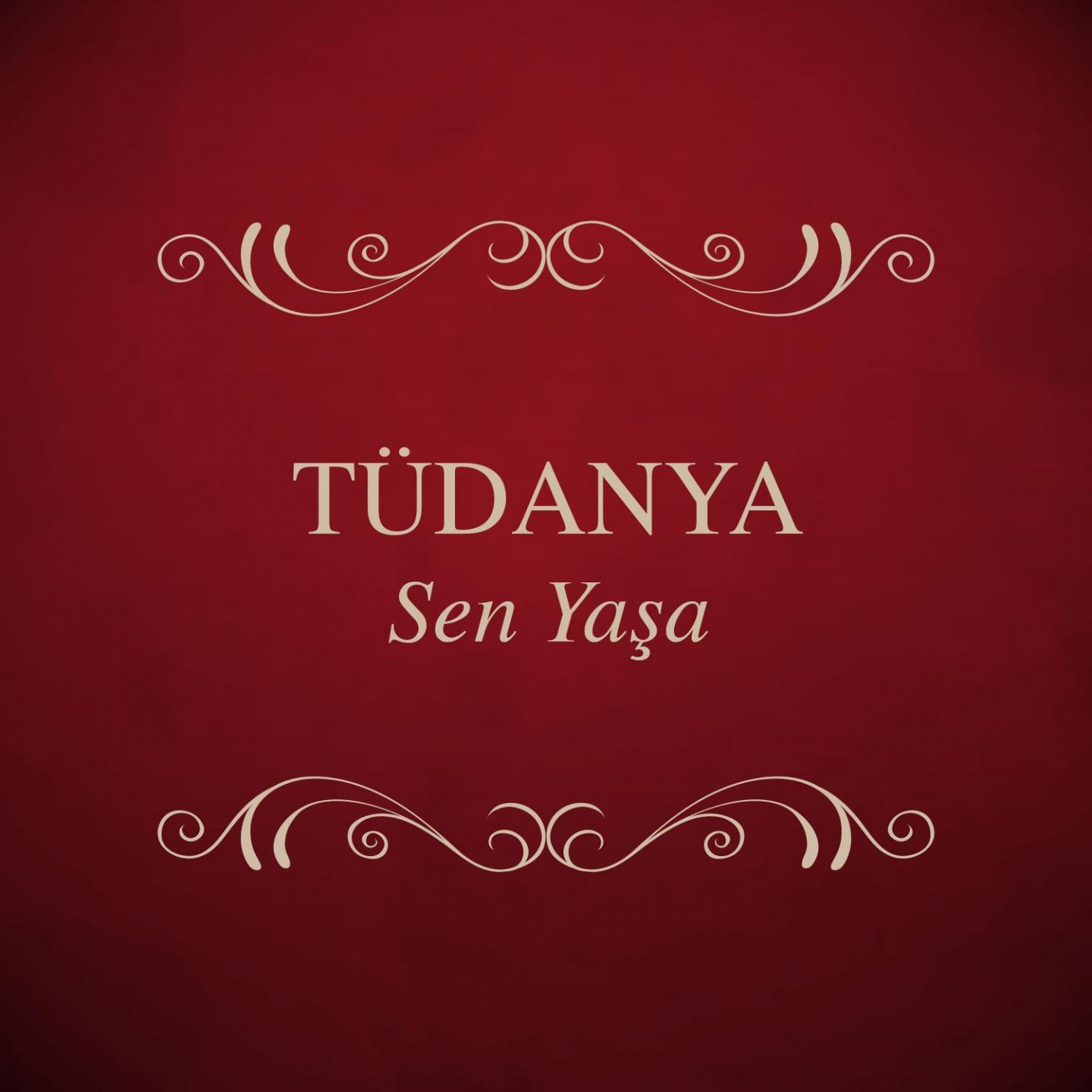 Постер альбома Sen Yaşa