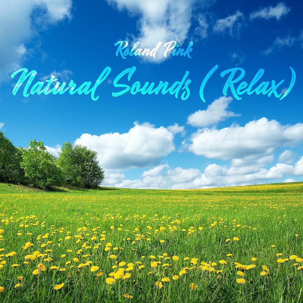 Постер альбома Natural Sounds (Relax)