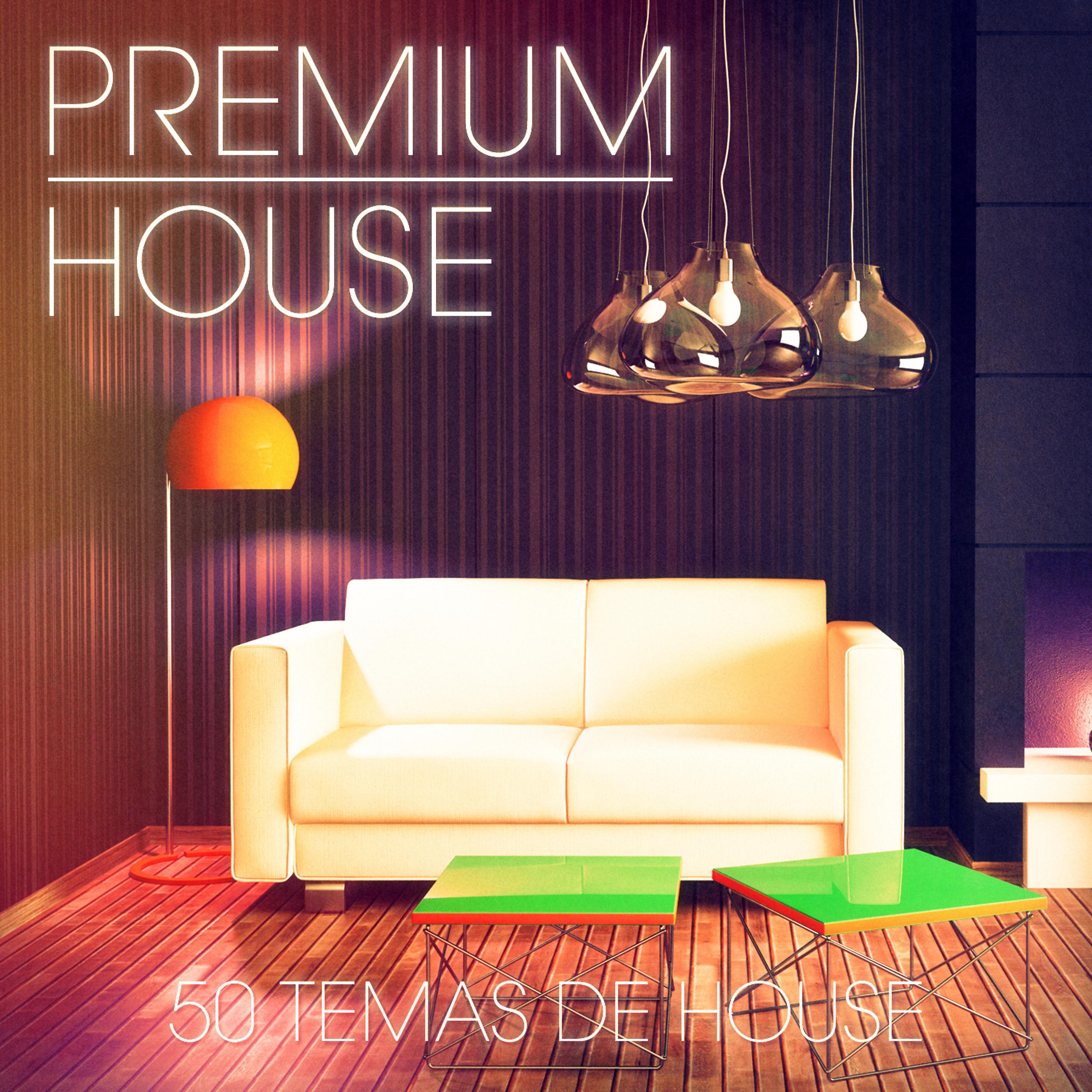 Постер альбома Premium House Music, Vol. 1 (Música Electrónica Elegante para el Discotero Digno)