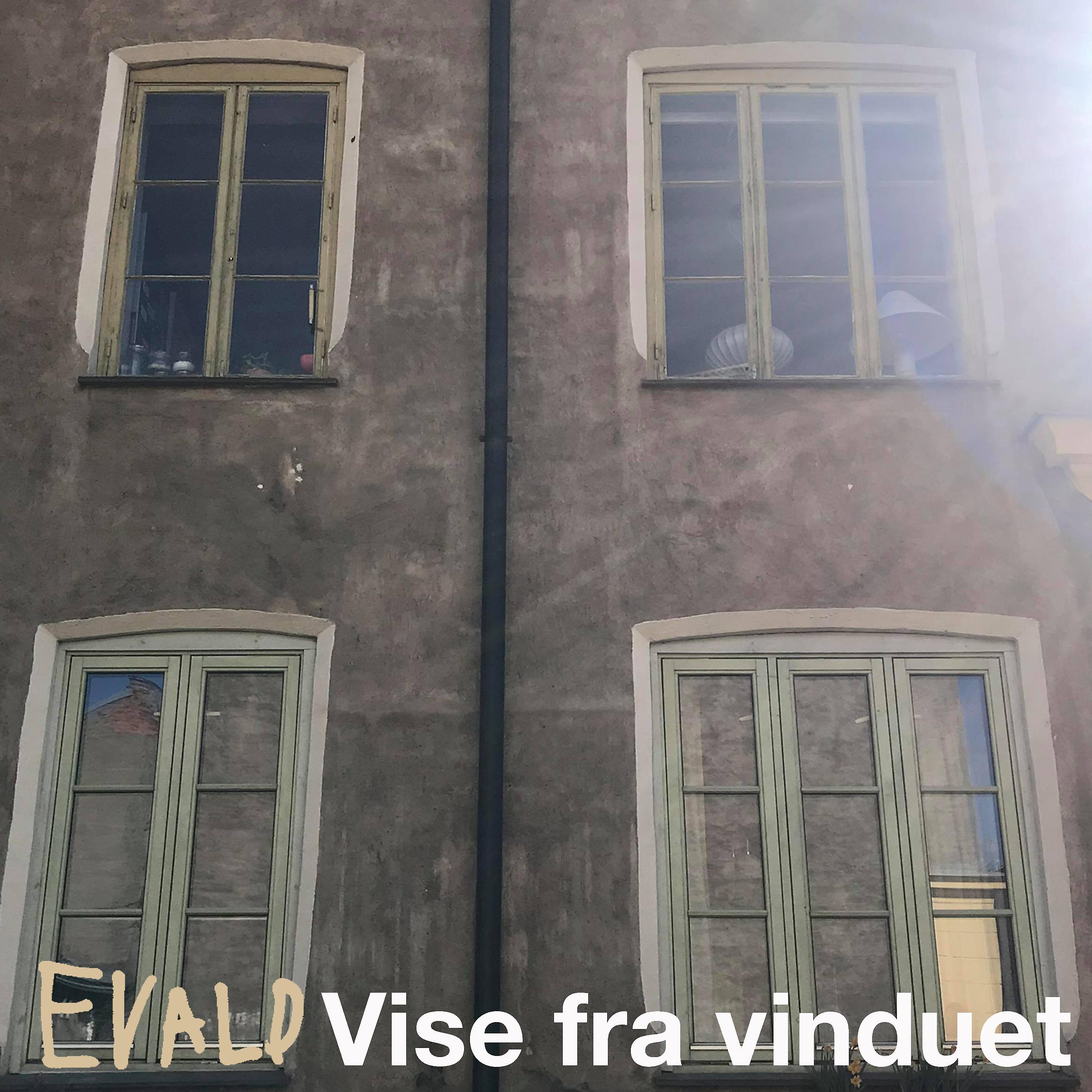 Постер альбома Vise fra vinduet
