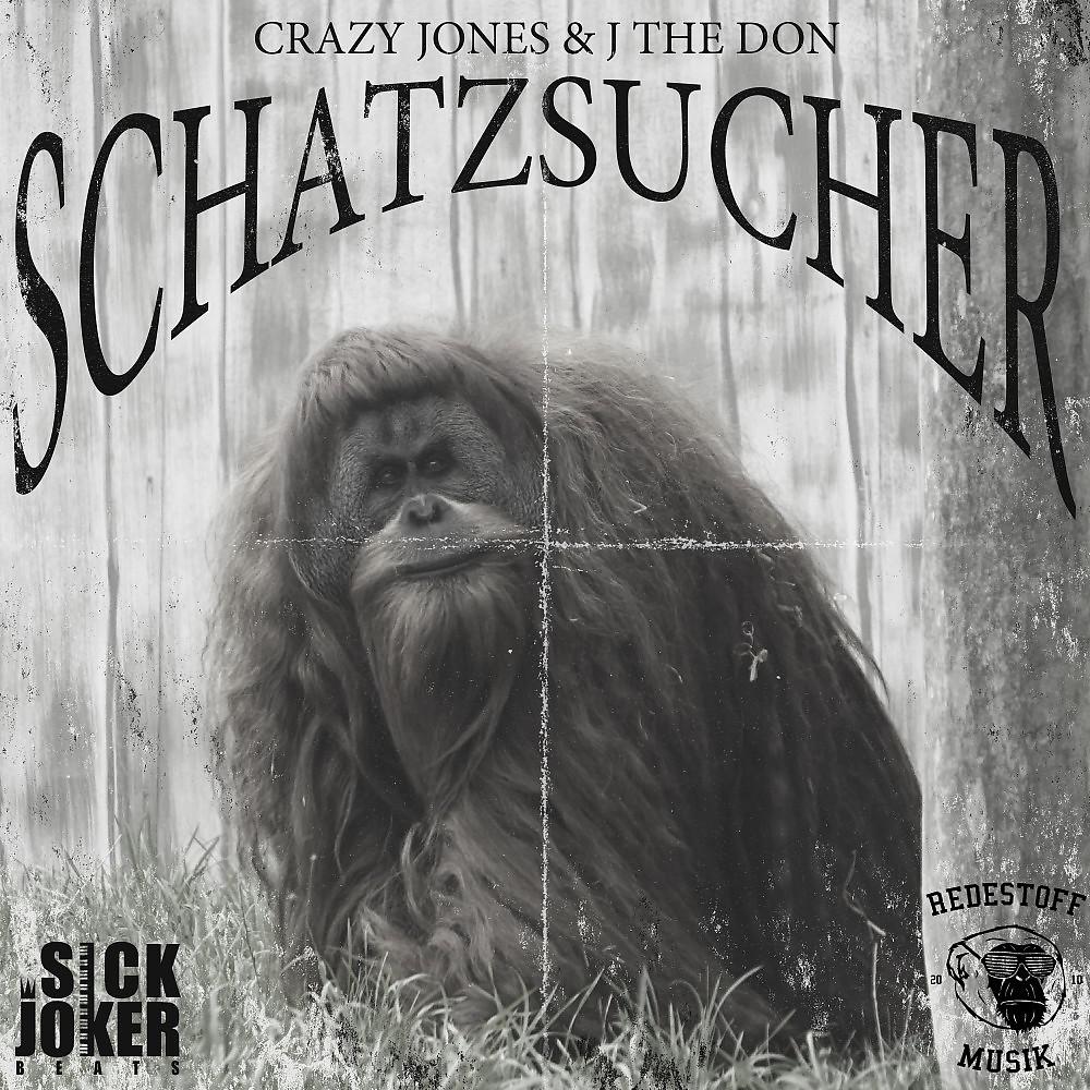 Постер альбома Schatzsucher