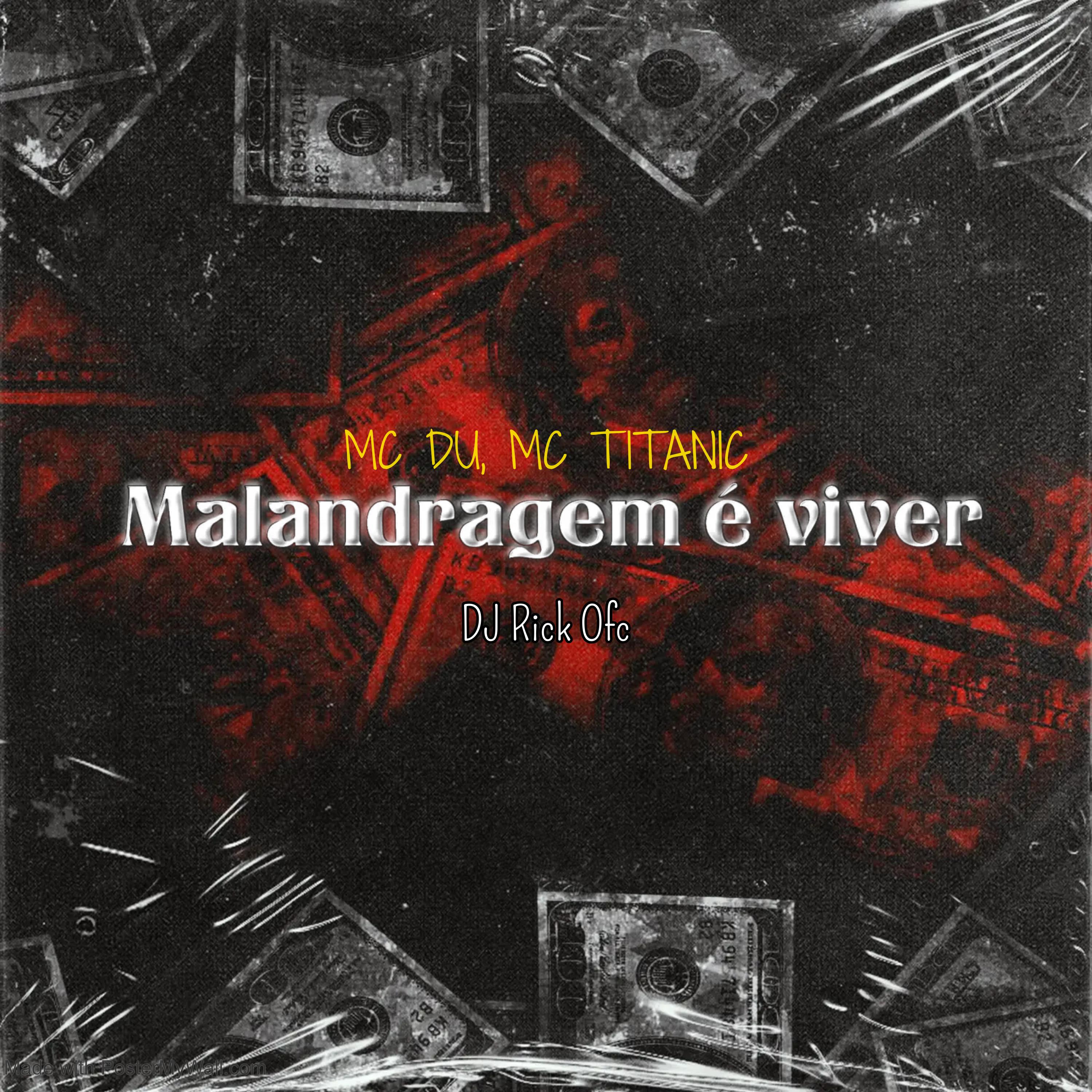 Постер альбома Malandragem É Viver