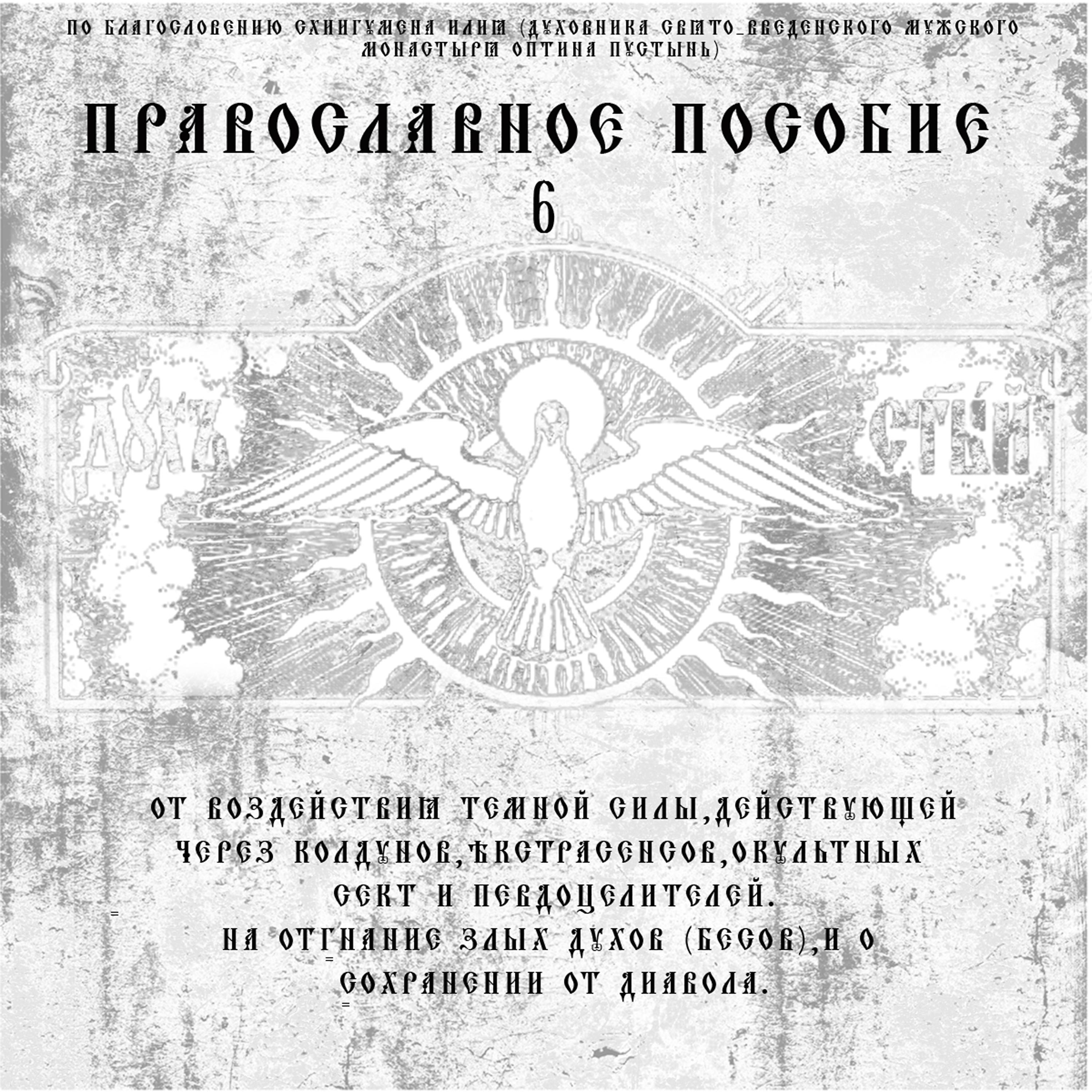 Постер альбома Православное пособие 6 (По личному Благословению схиархимандрита Илия Ноздрина)