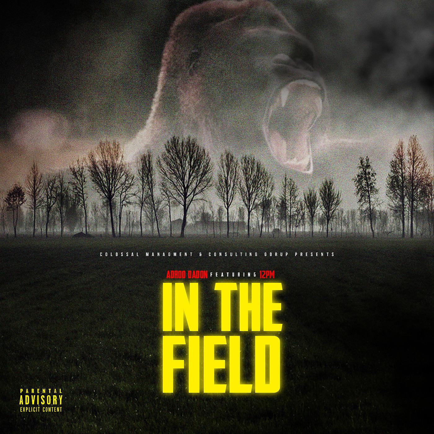 Постер альбома In the Field