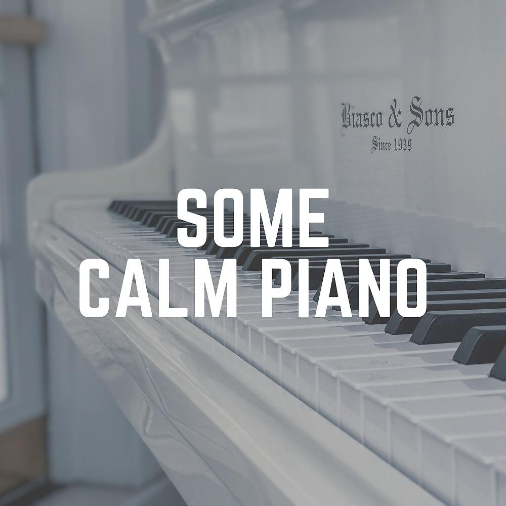 Постер альбома Some Calm Piano
