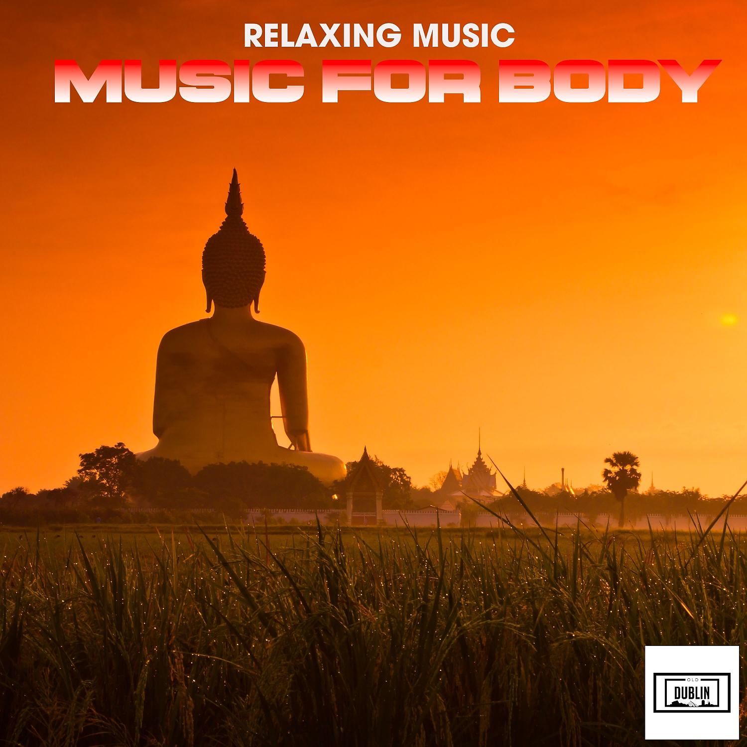 Постер альбома Music for Body