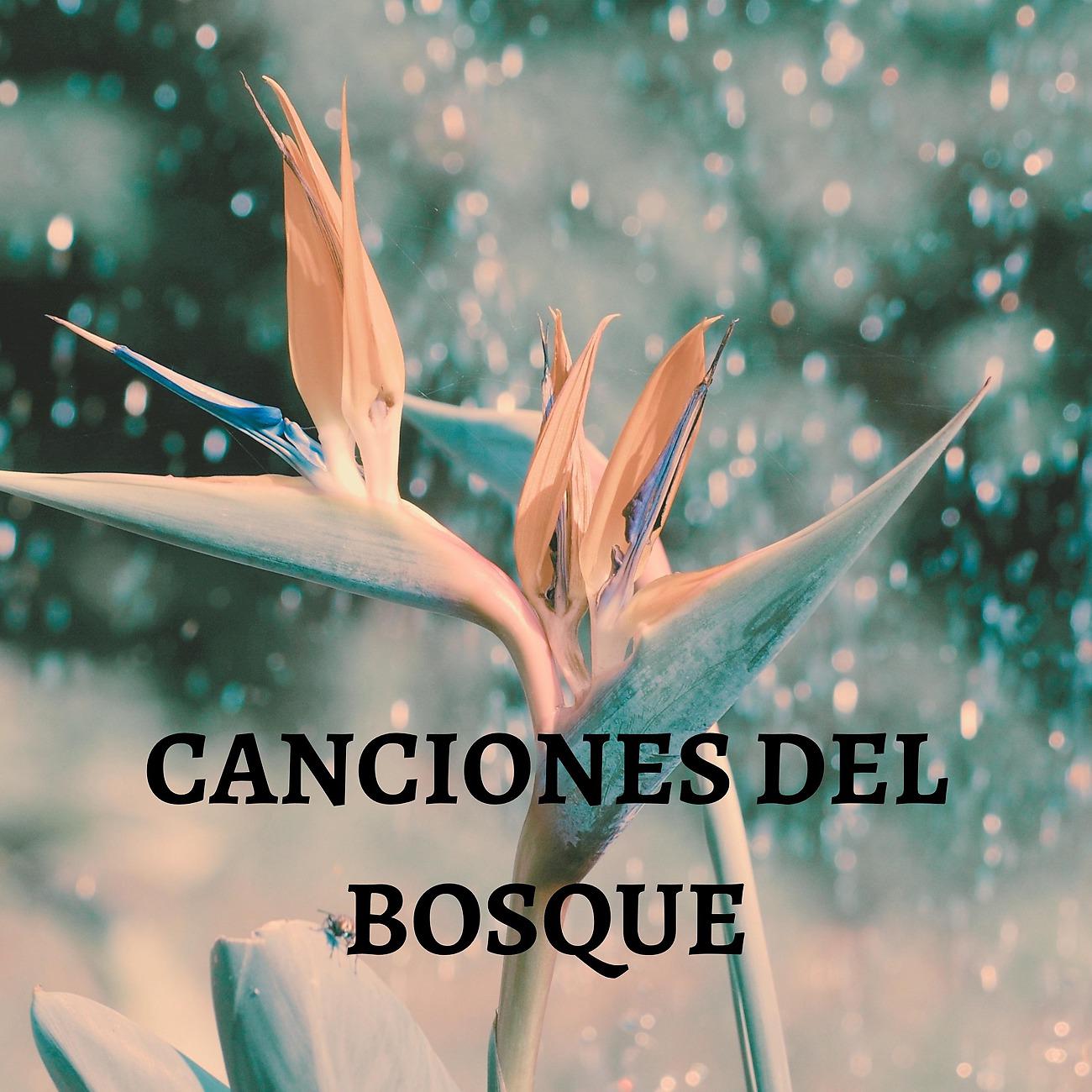 Постер альбома Canciones Del Bosque