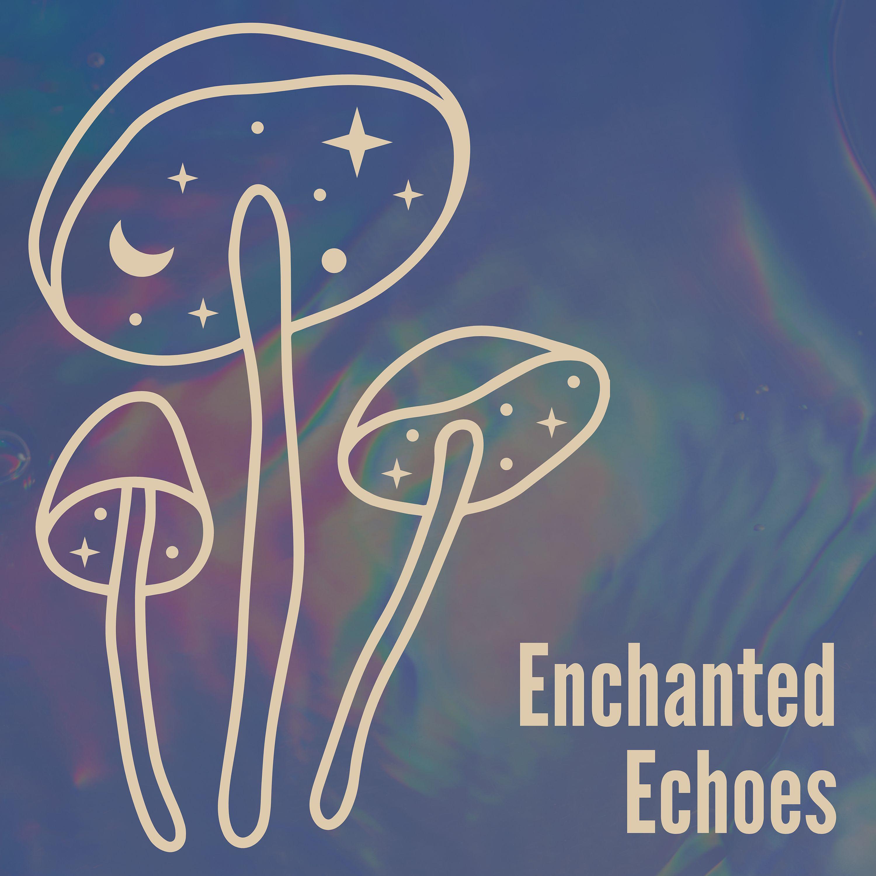 Постер альбома Enchanted Echoes