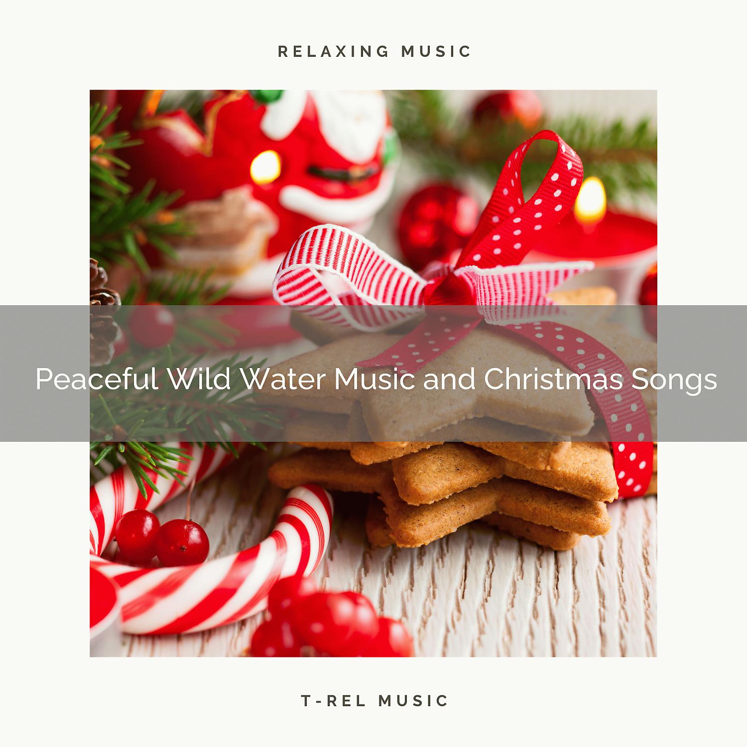 Постер альбома Peaceful Wild Water Music and Christmas Songs