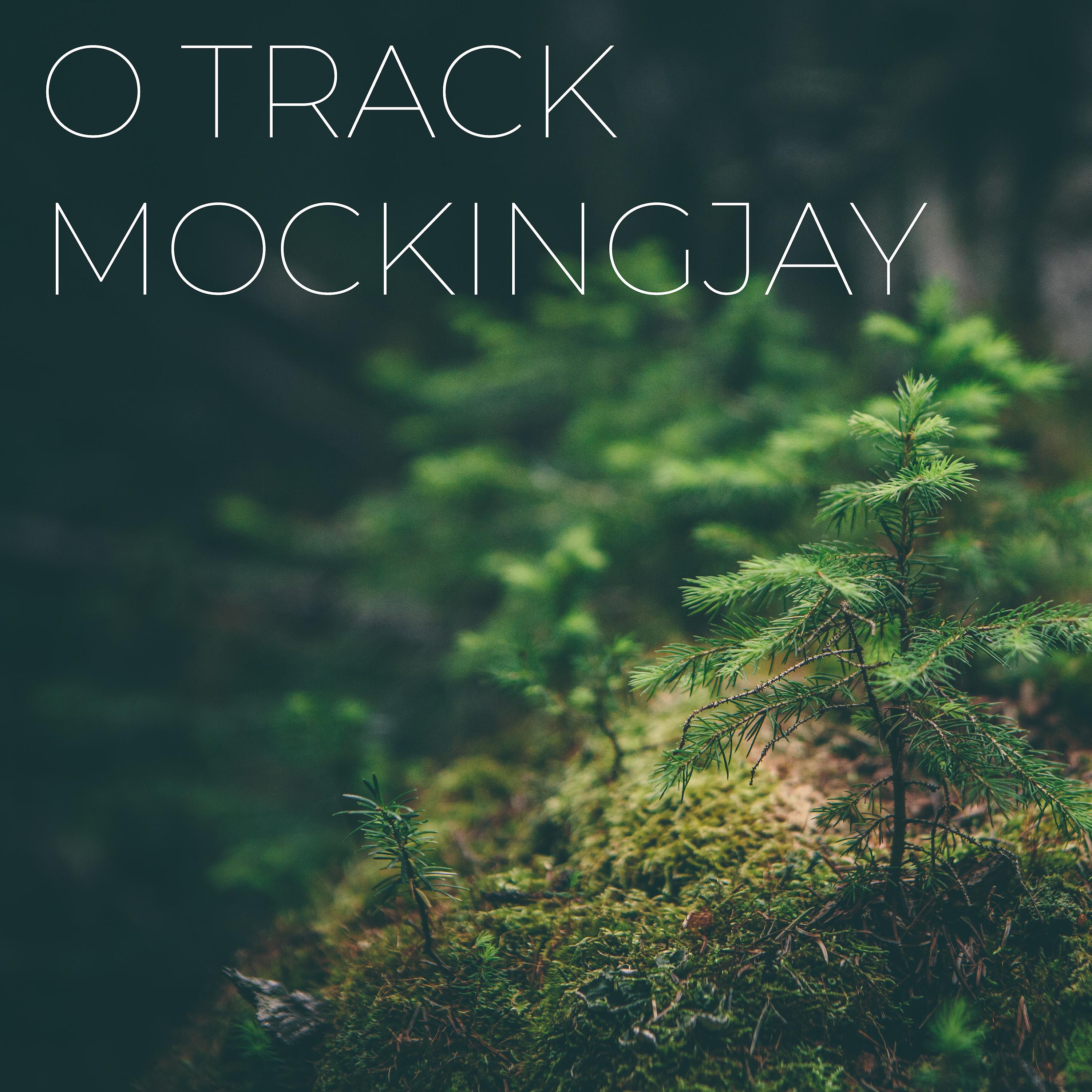 Постер альбома Mockingjay
