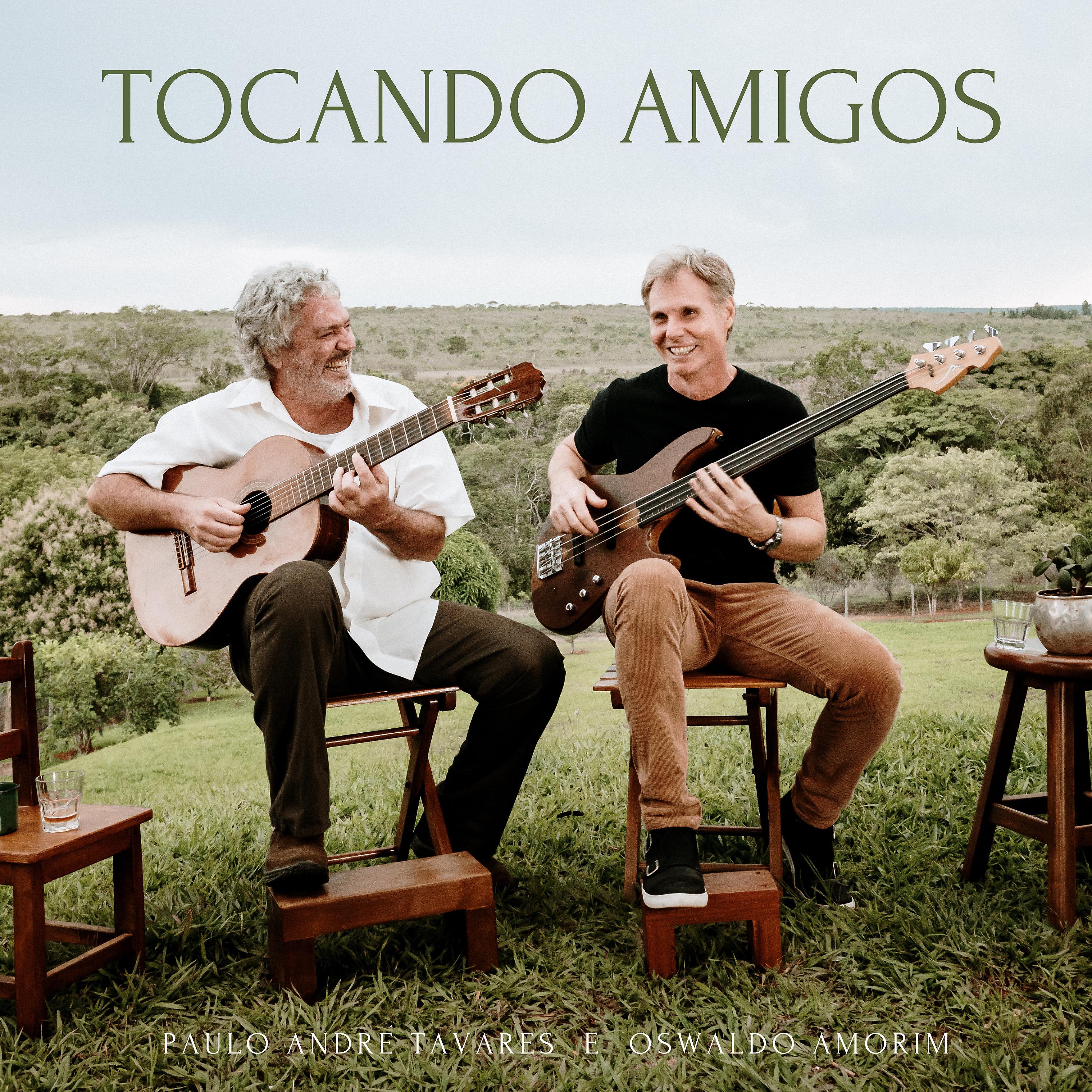 Постер альбома Tocando Amigos